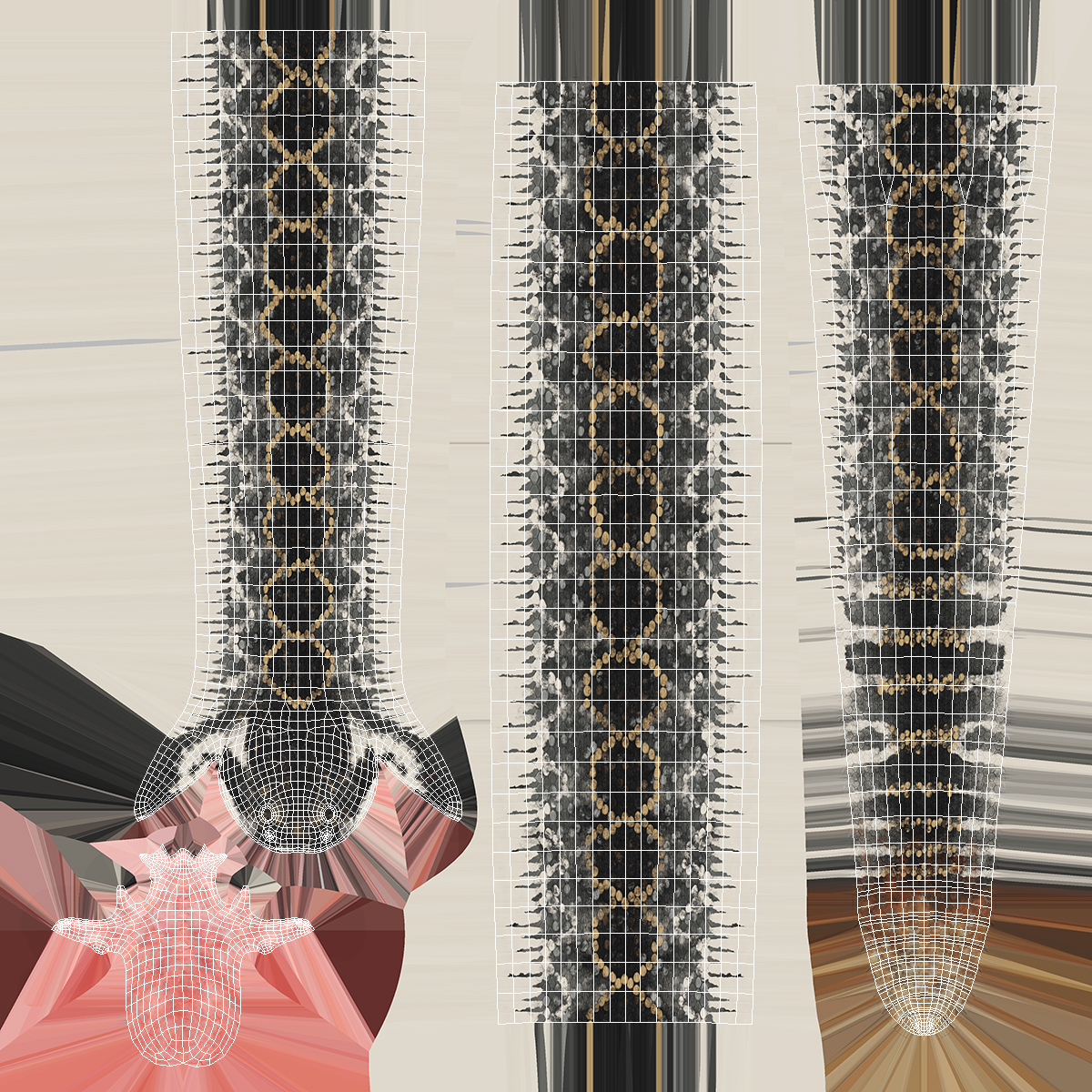 3D Giant Dark Rattlesnake Rigged for Maya model