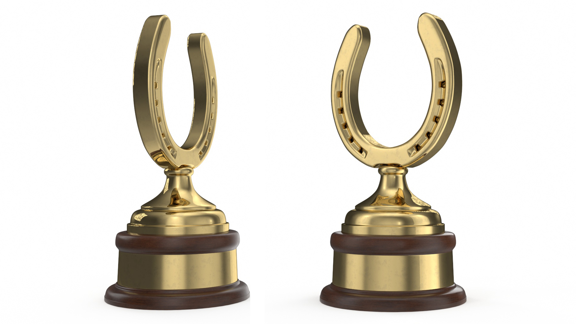 Golden Horseshoe Award 3D