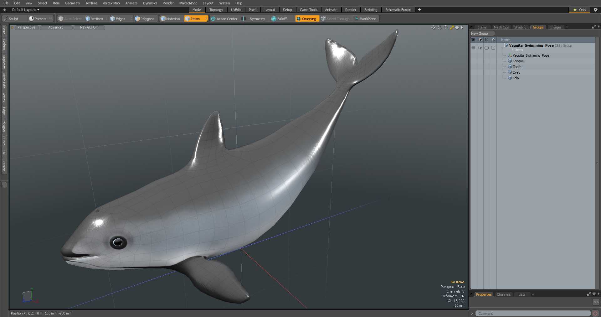 3D Vaquita Swimming Pose