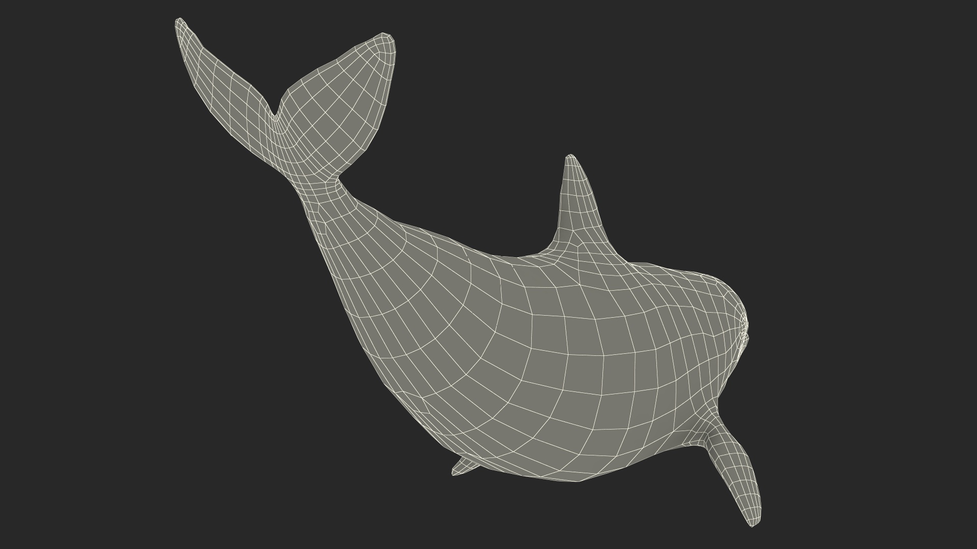 3D Vaquita Swimming Pose