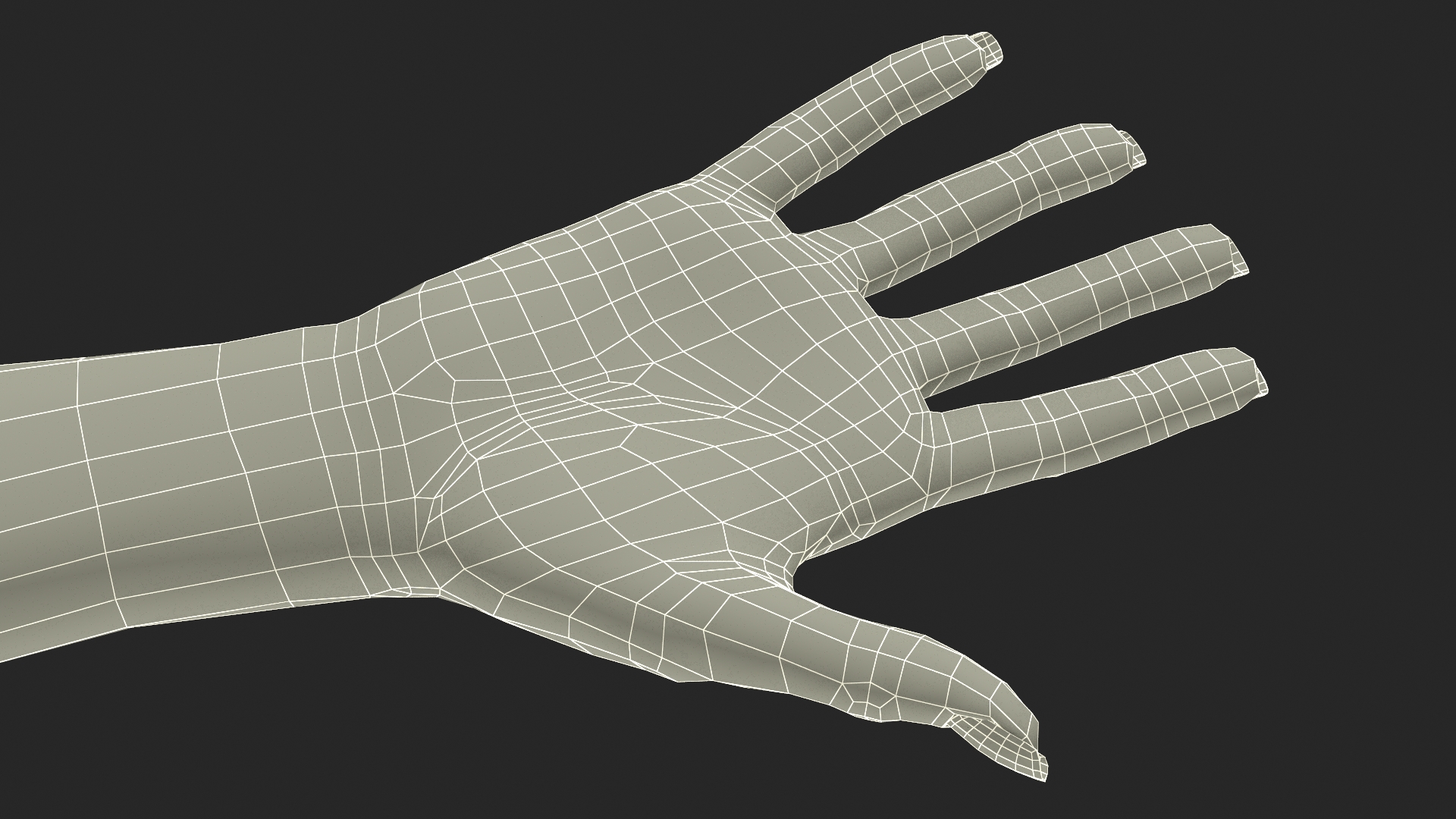 European Woman Hand Base Pose 3D model