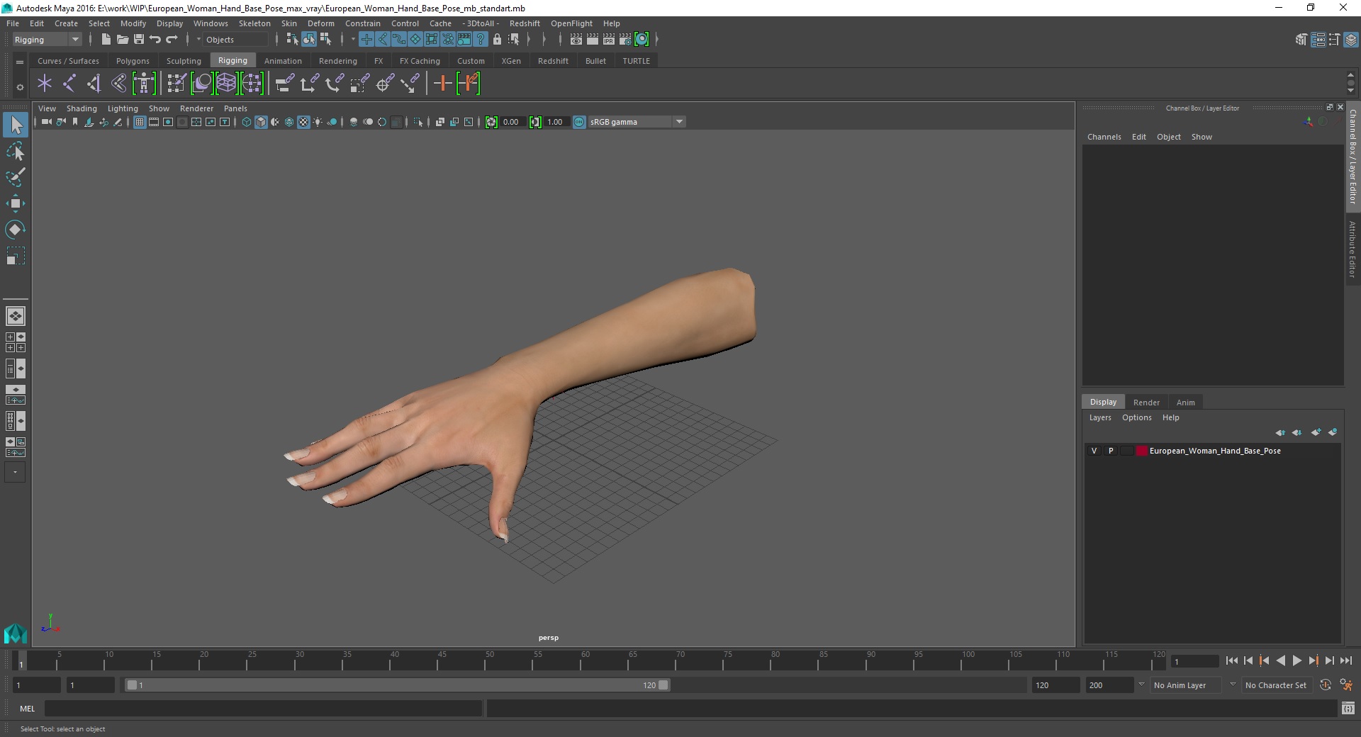 European Woman Hand Base Pose 3D model