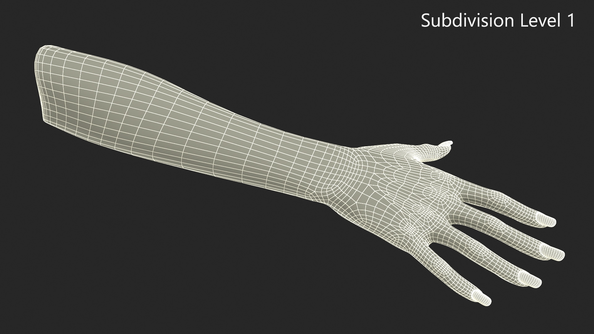 European Woman Hand Base Pose 3D model