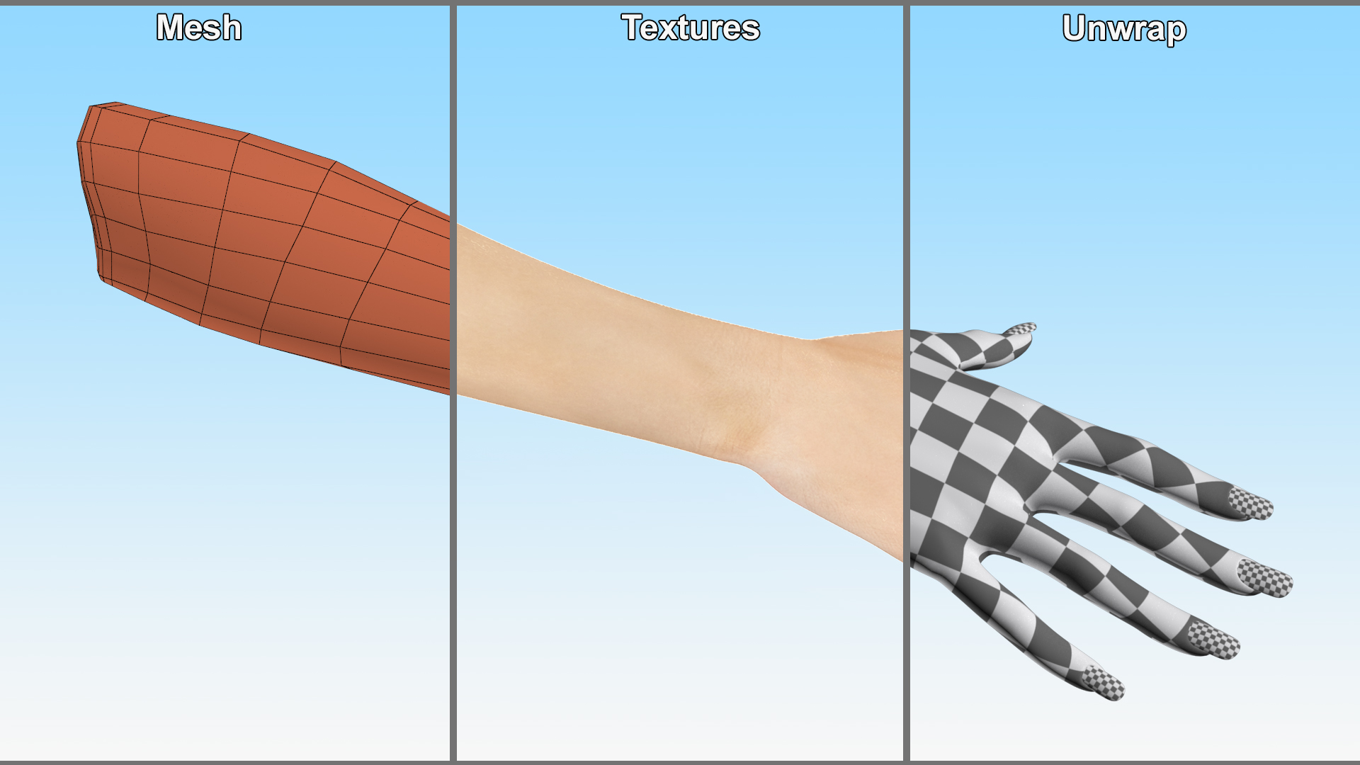 European Woman Hand Base Pose 3D model