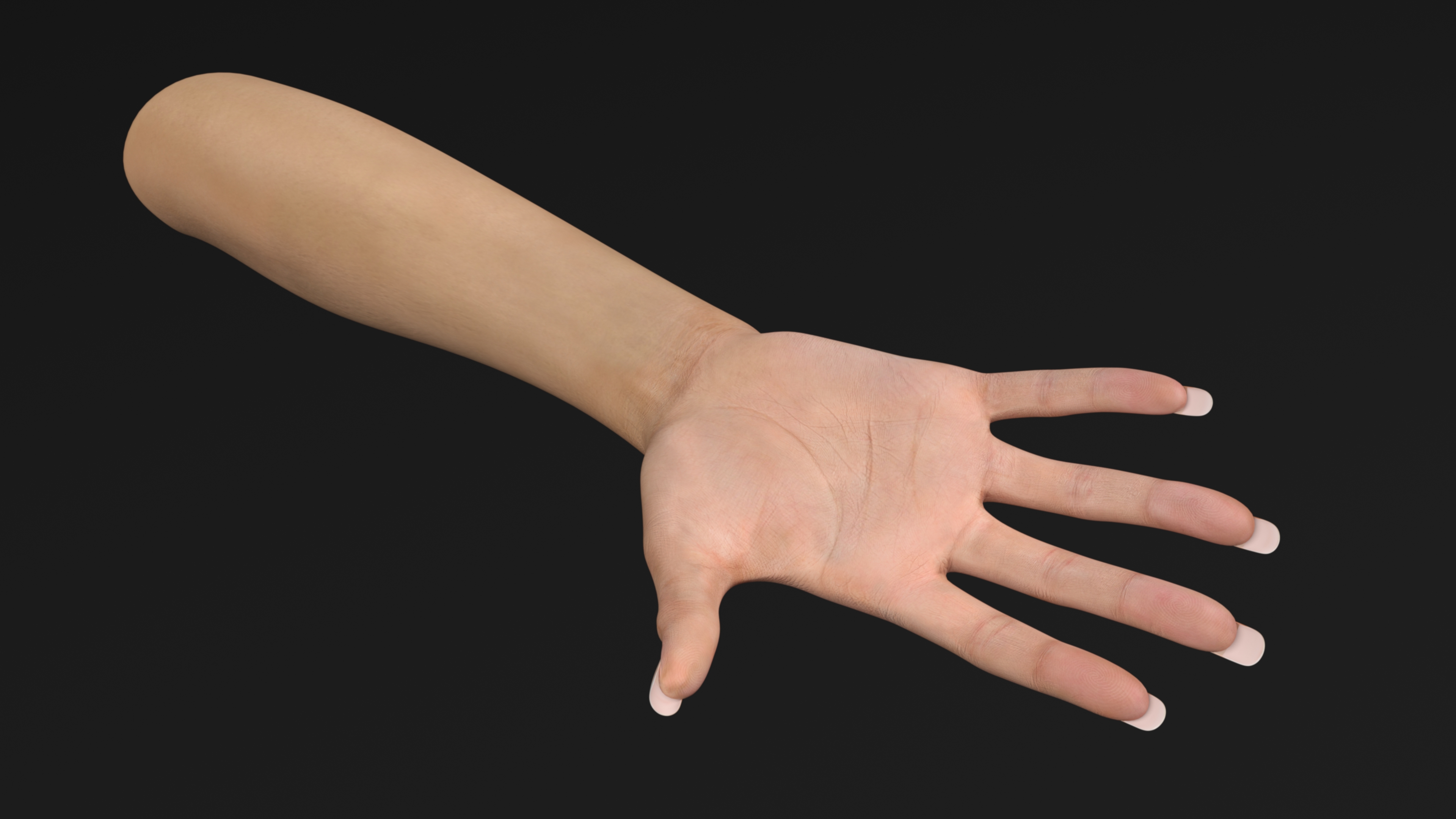 European Woman Hand Base Pose 3D model