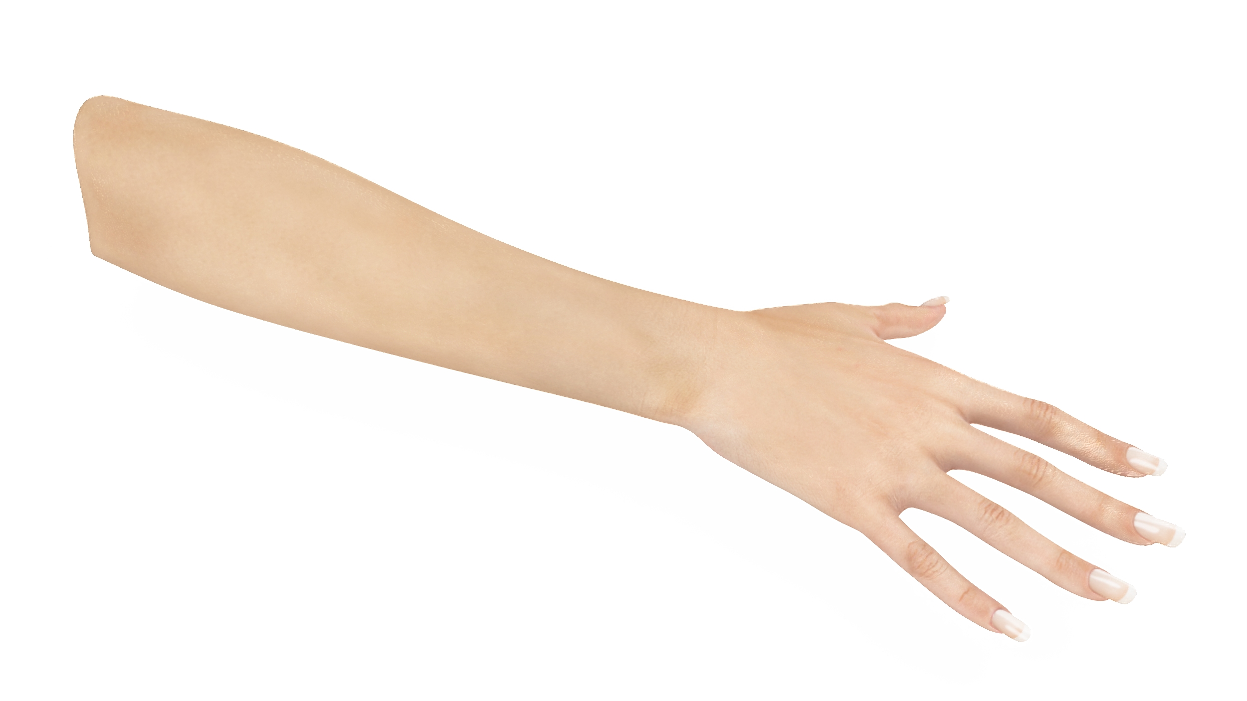 European Woman Hand Base Pose 3D model