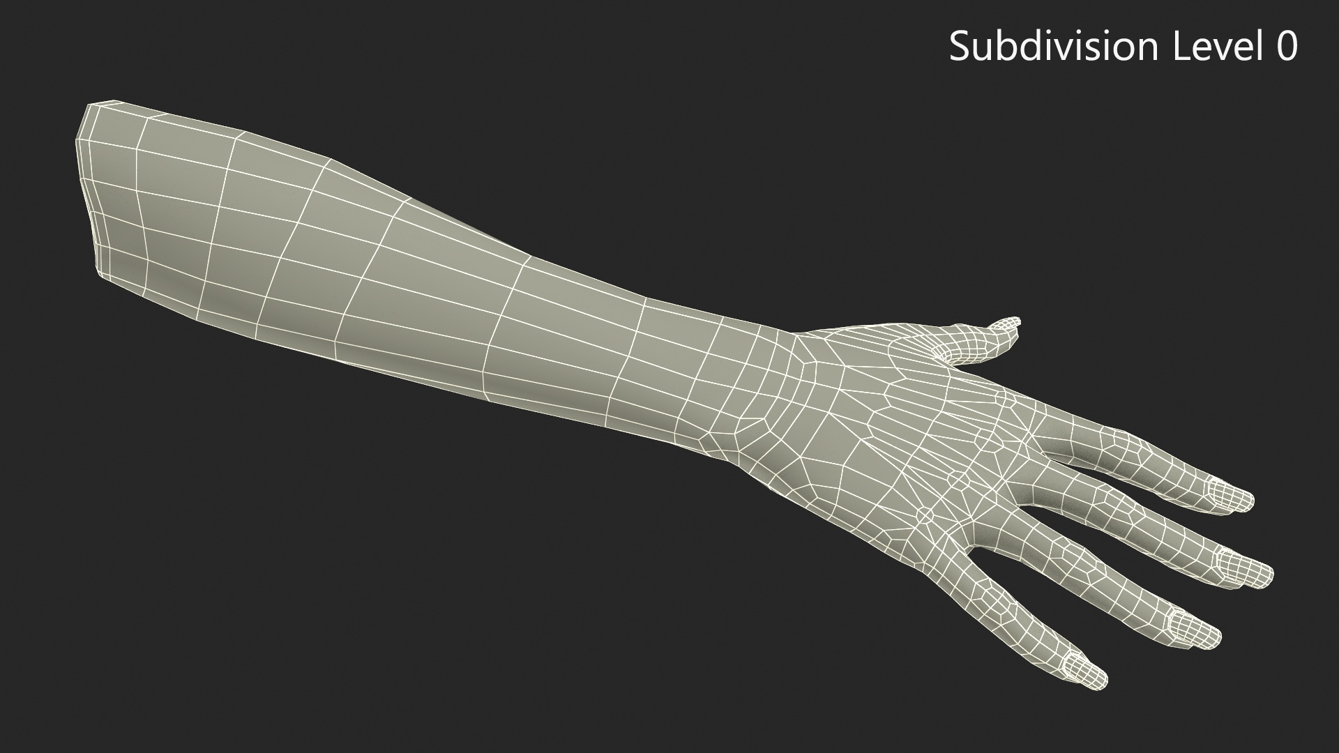 European Woman Hand Base Pose 3D model