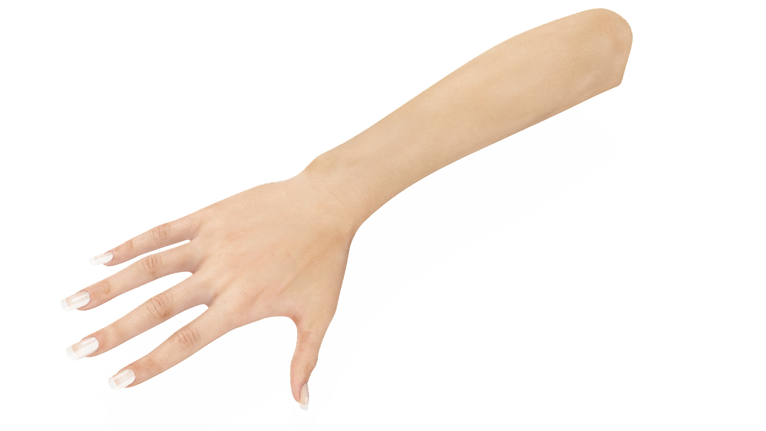 European Woman Hand Base Pose 3D model