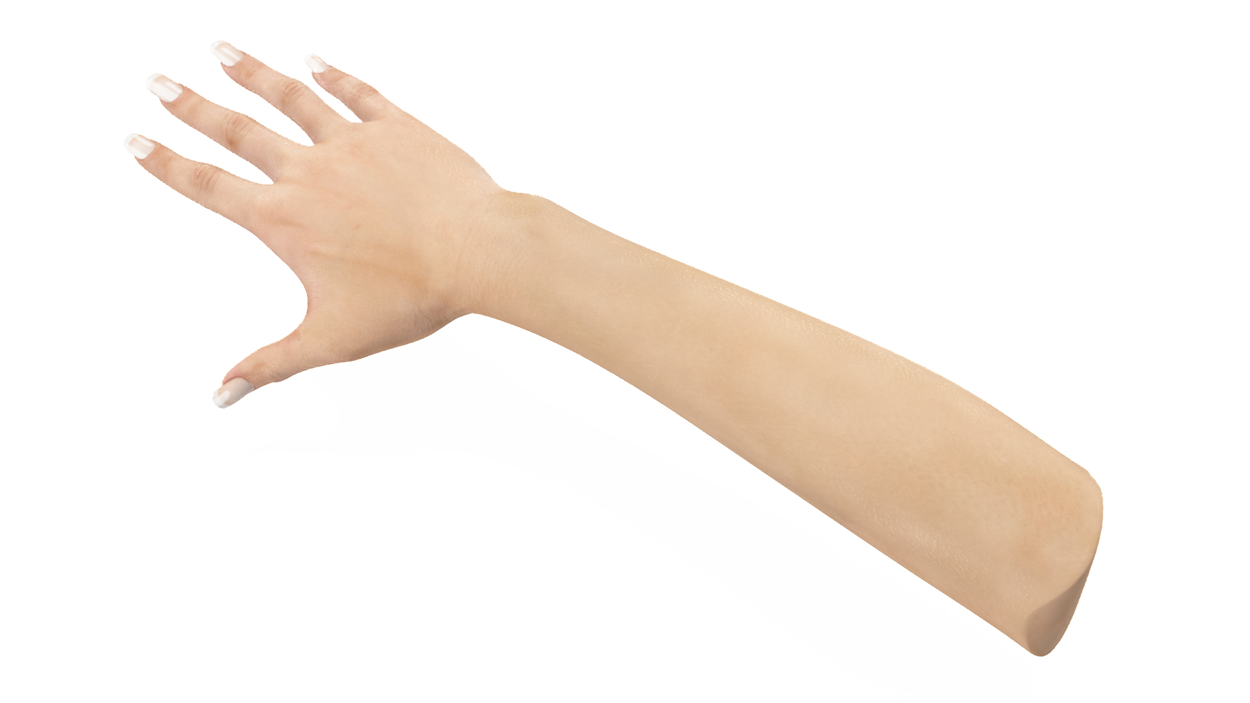 European Woman Hand Base Pose 3D model