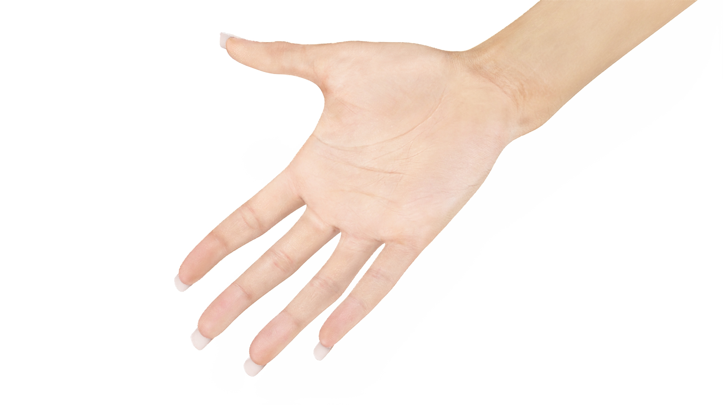 European Woman Hand Base Pose 3D model