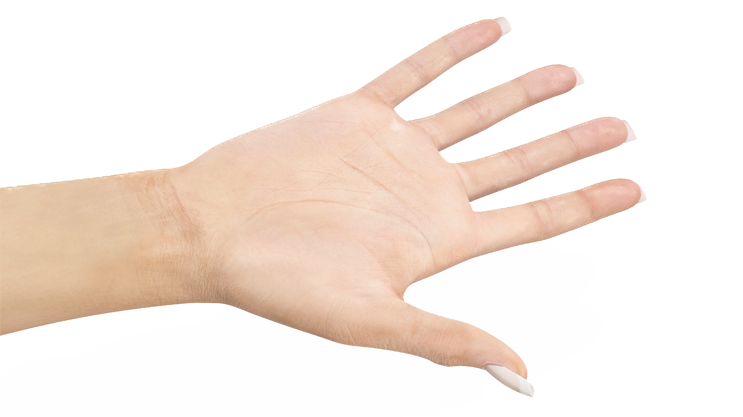 European Woman Hand Base Pose 3D model