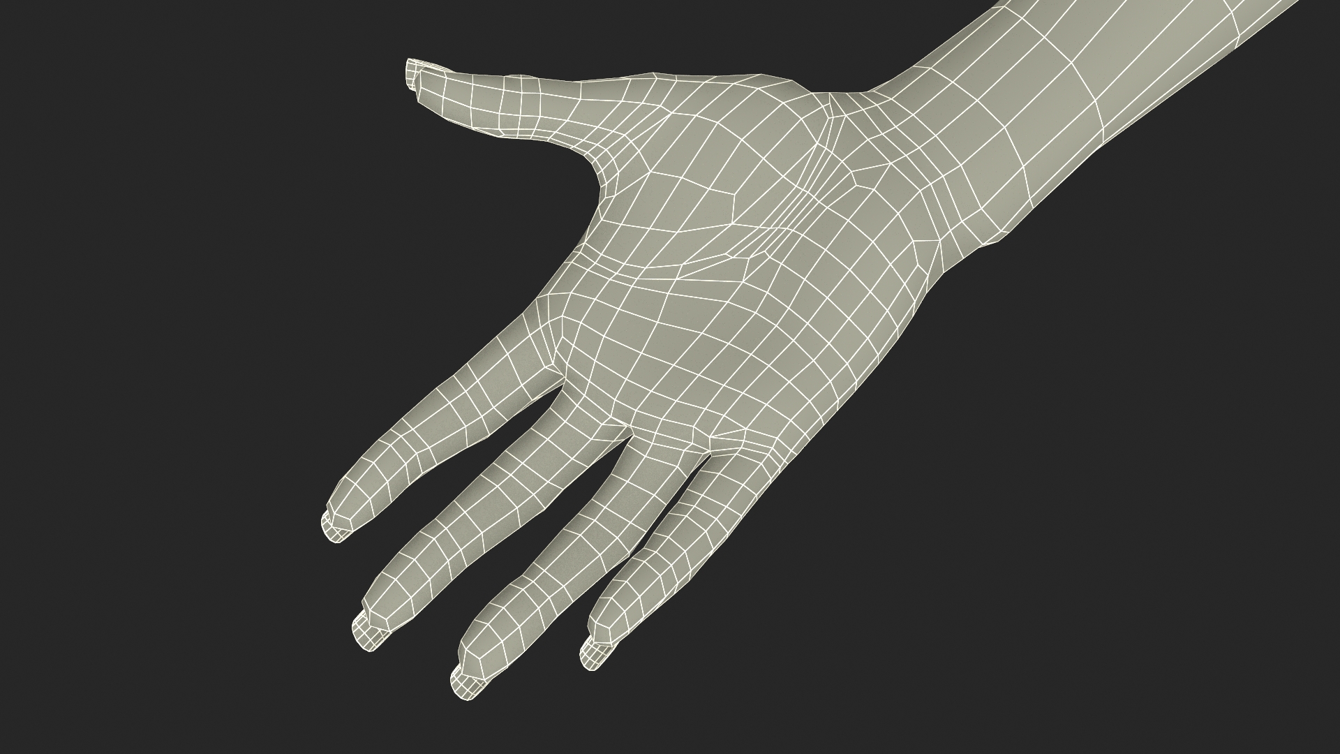 European Woman Hand Base Pose 3D model