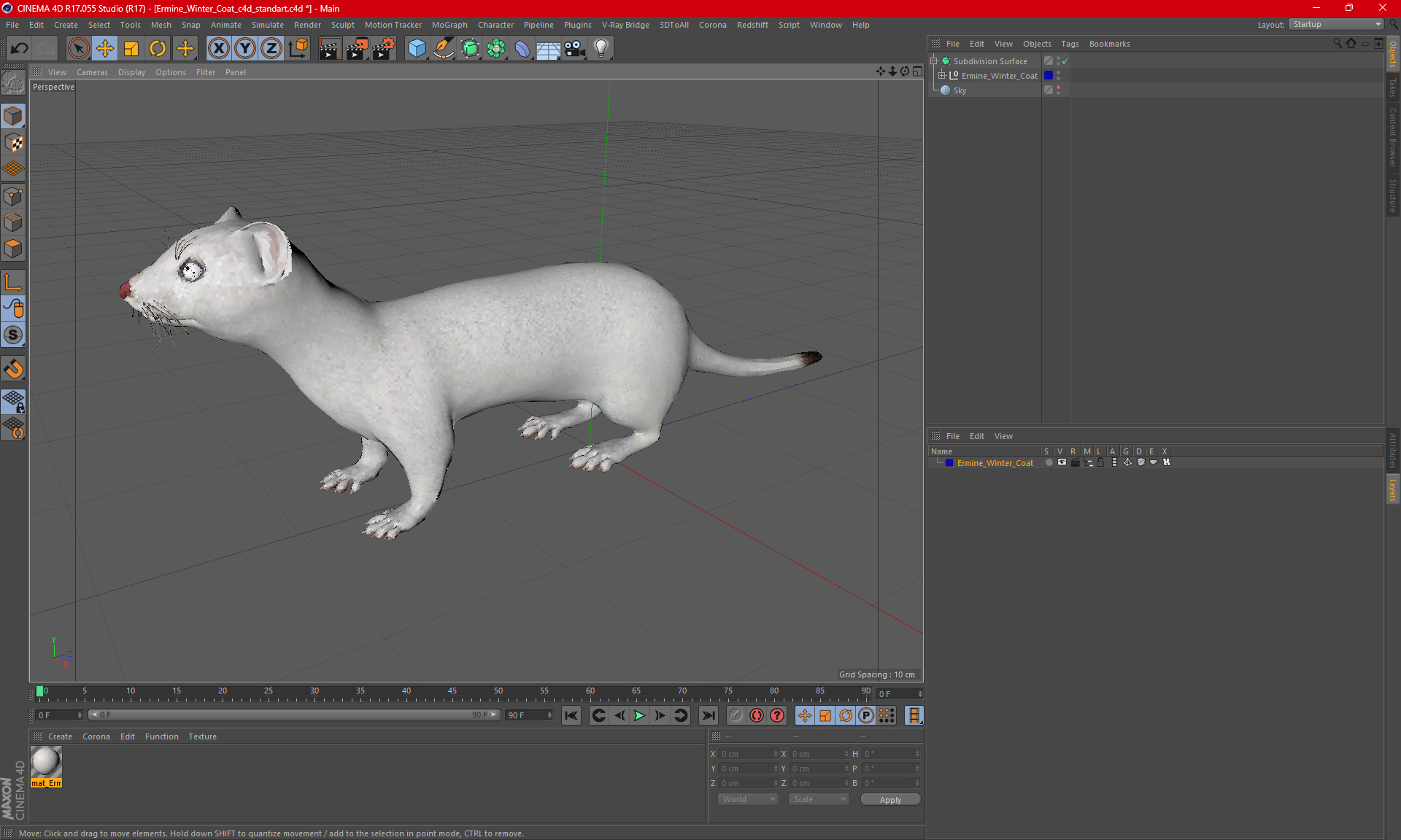 3D Ermine Winter Coat model
