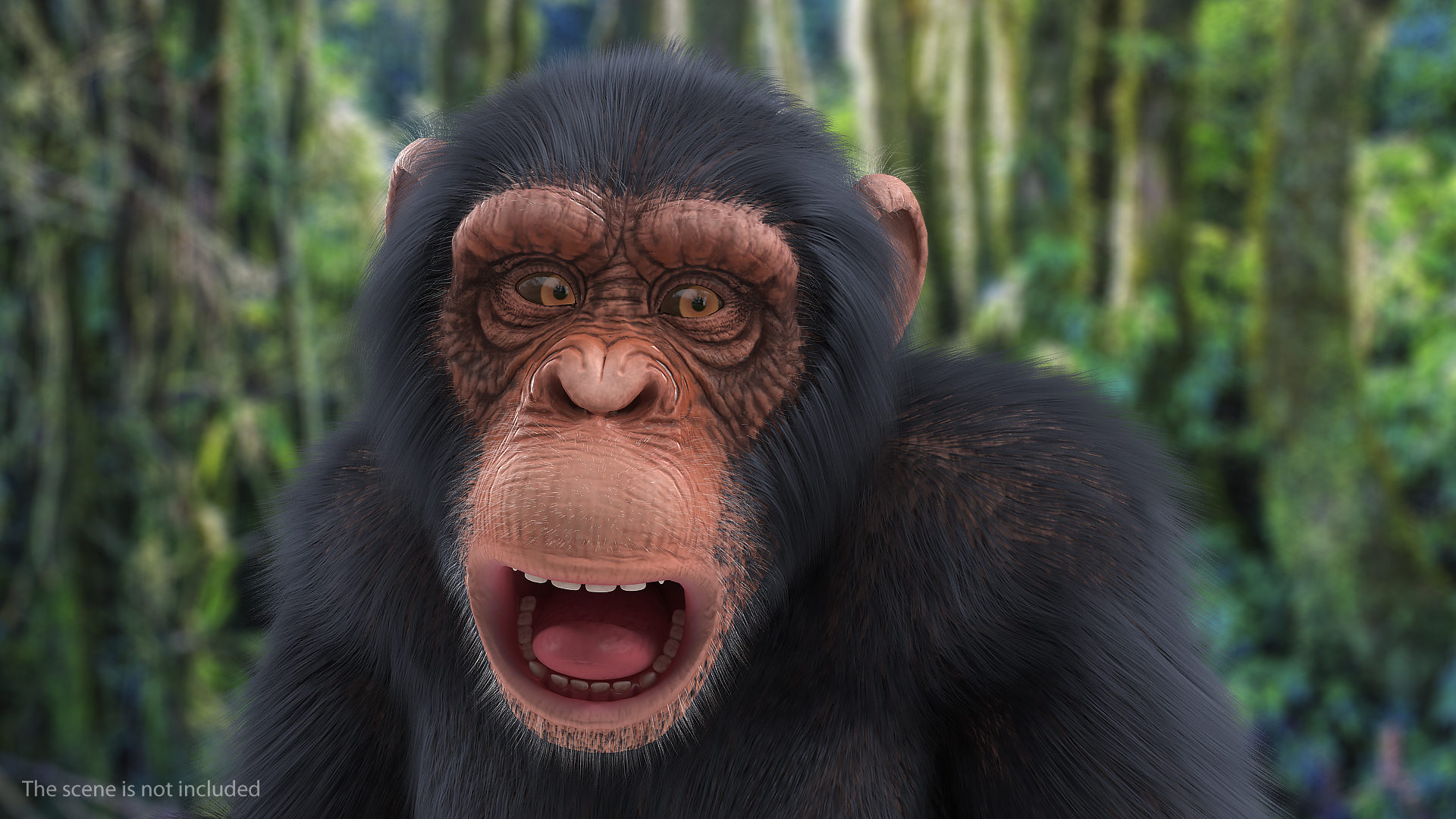 Light Chimpanzee Rigged with Fur 3D