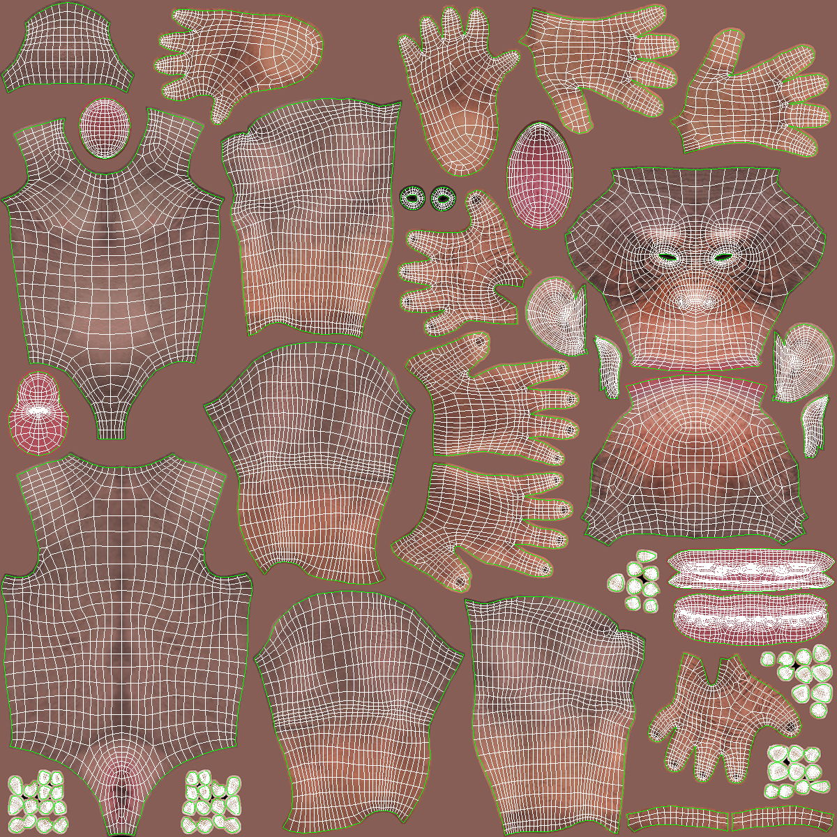 Light Chimpanzee Rigged with Fur 3D