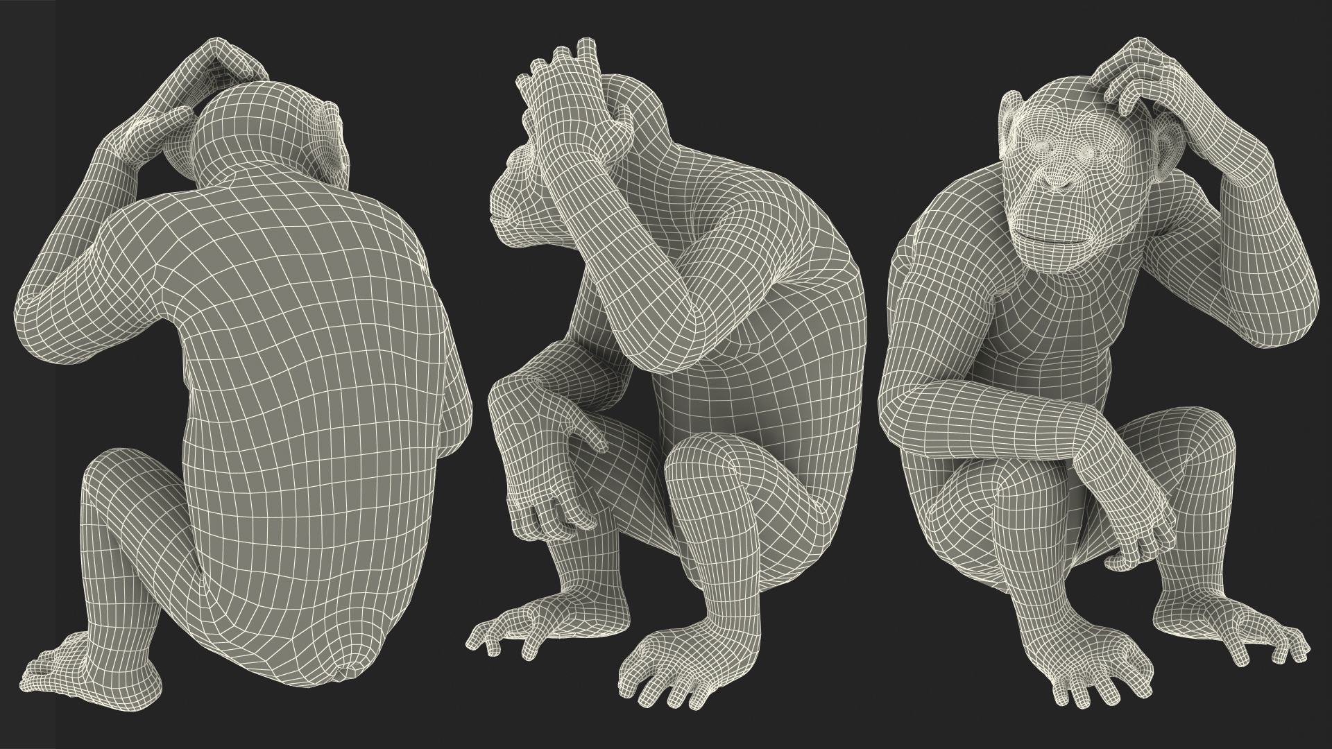 Light Chimpanzee Rigged with Fur 3D
