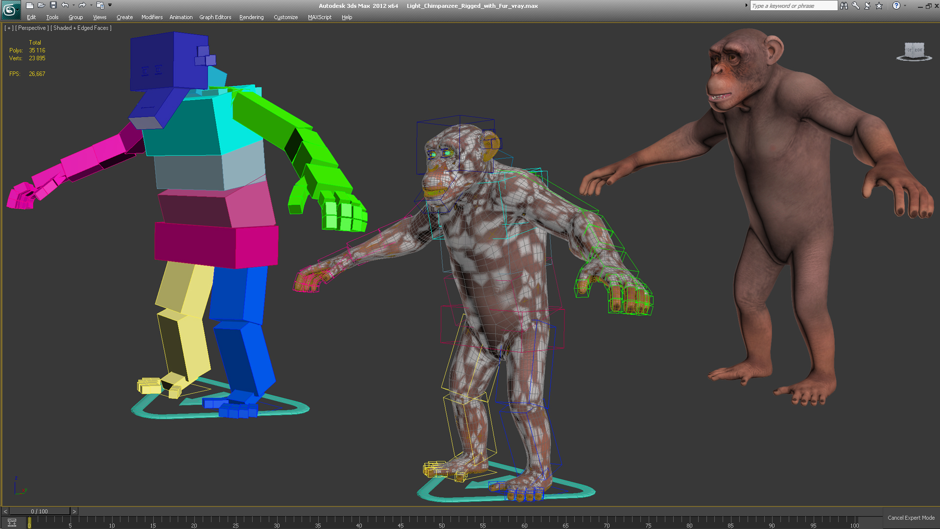 Light Chimpanzee Rigged with Fur 3D
