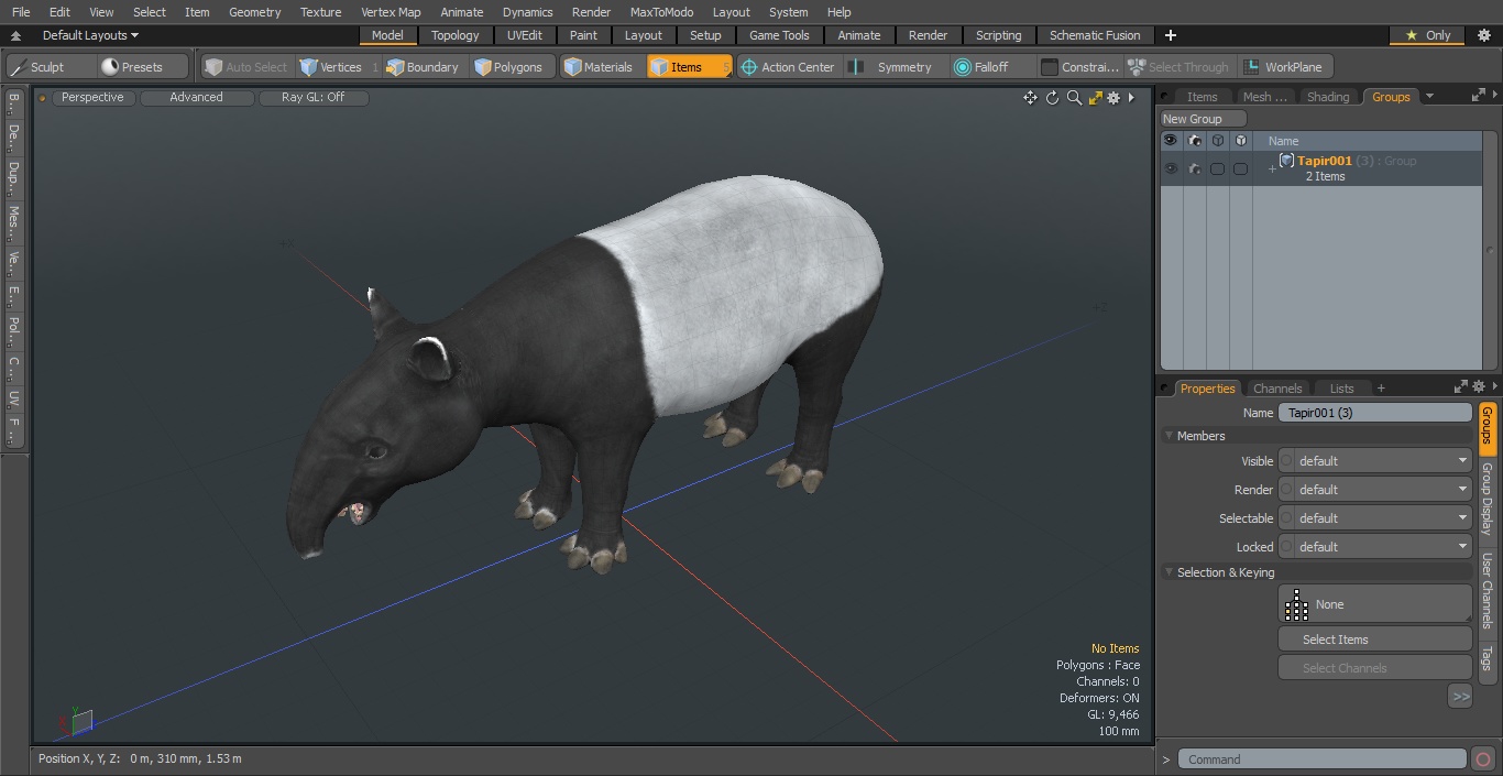 Tapir 3D model