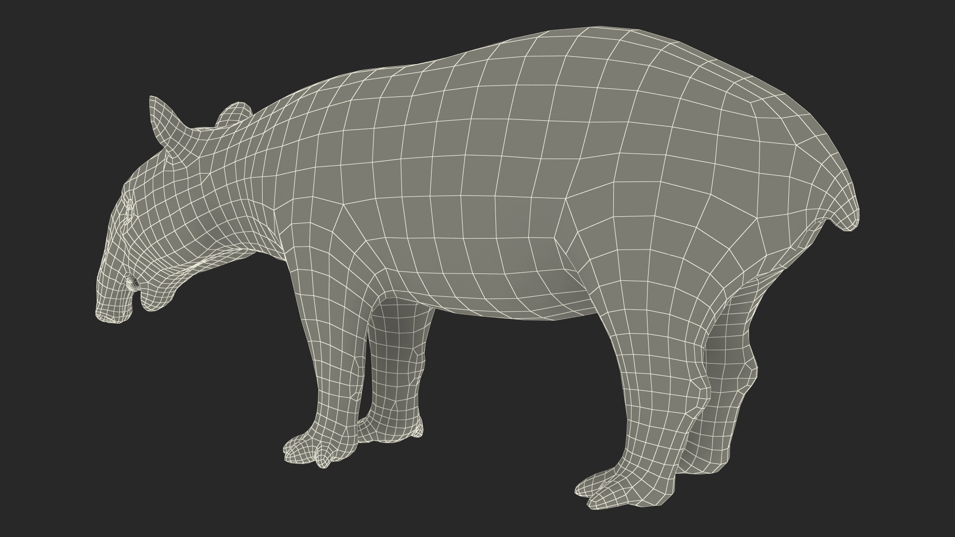 Tapir 3D model