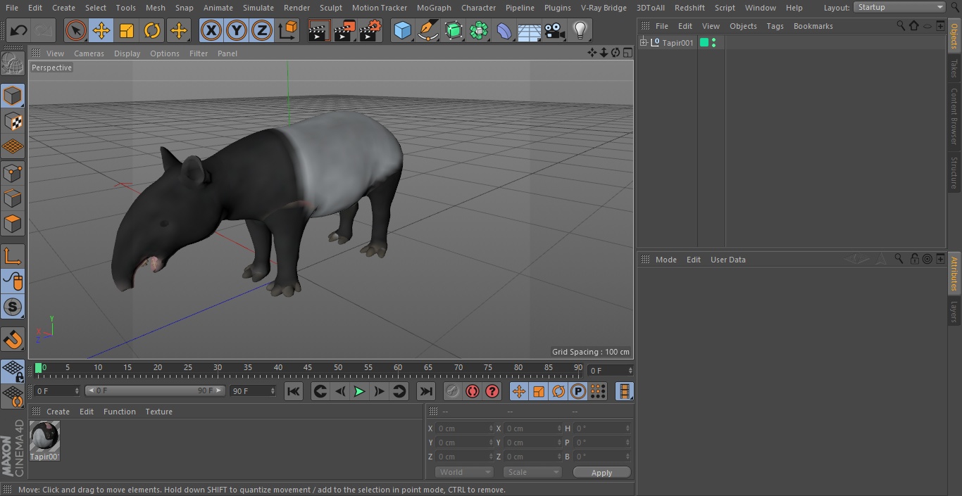 Tapir 3D model