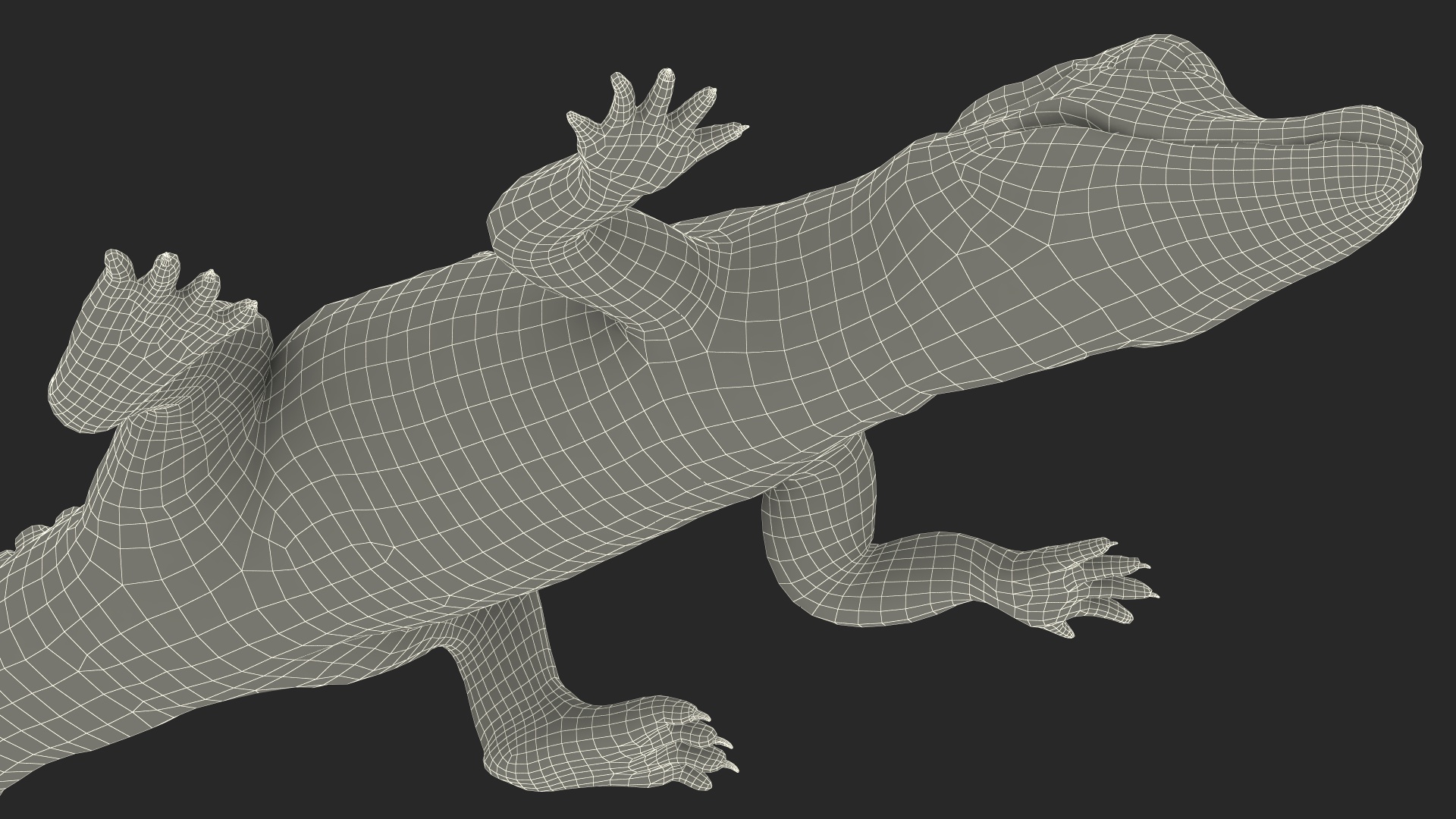 3D Black Caiman Baby Lying model