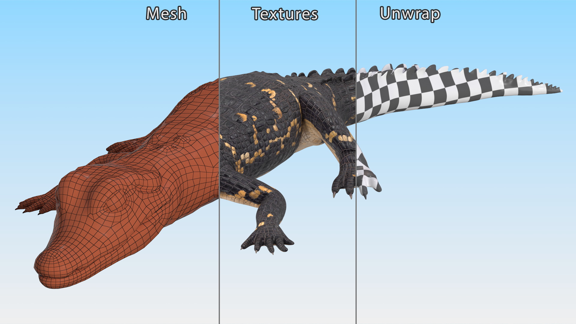 3D Black Caiman Baby Lying model