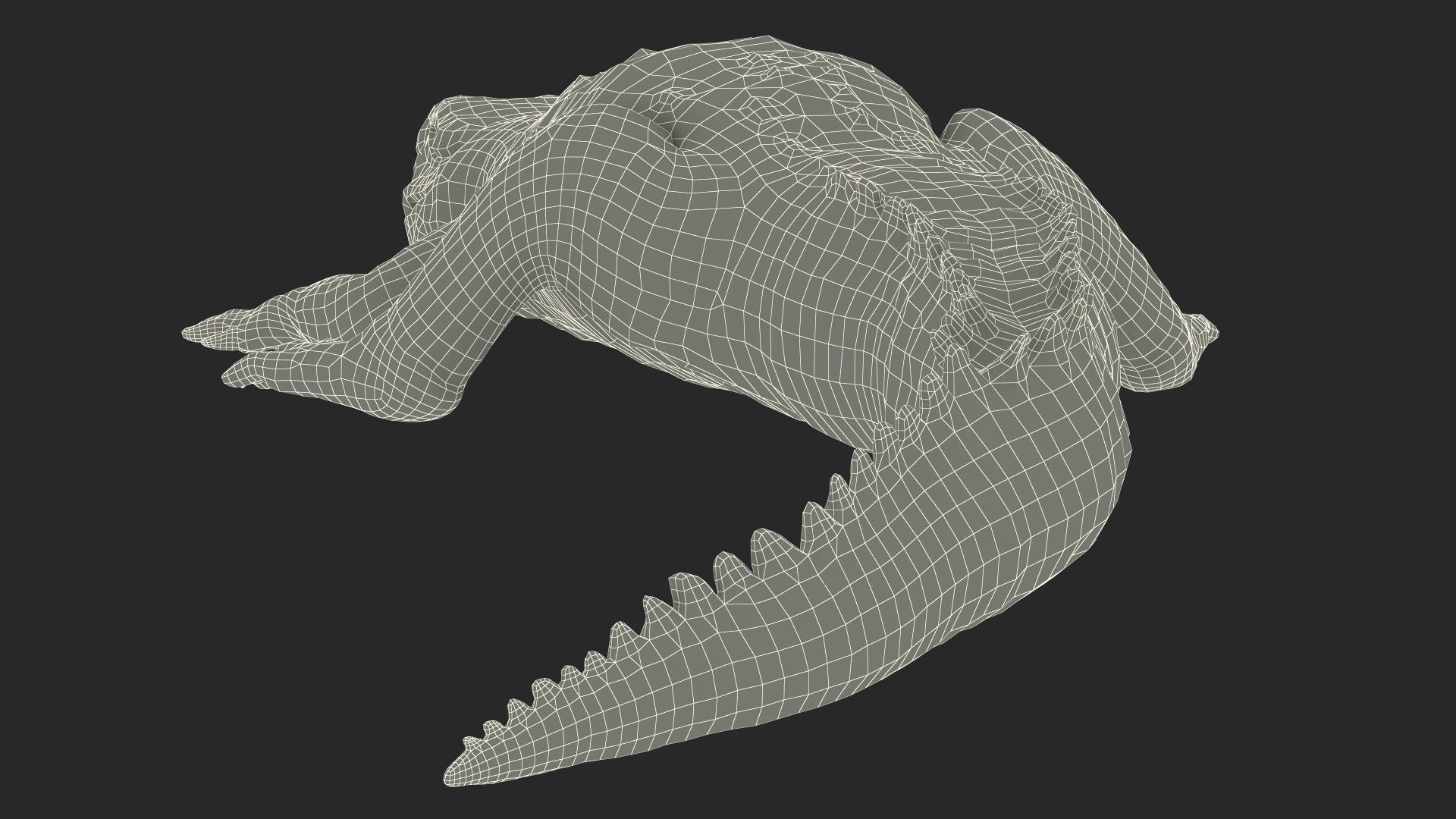 3D Black Caiman Baby Lying model