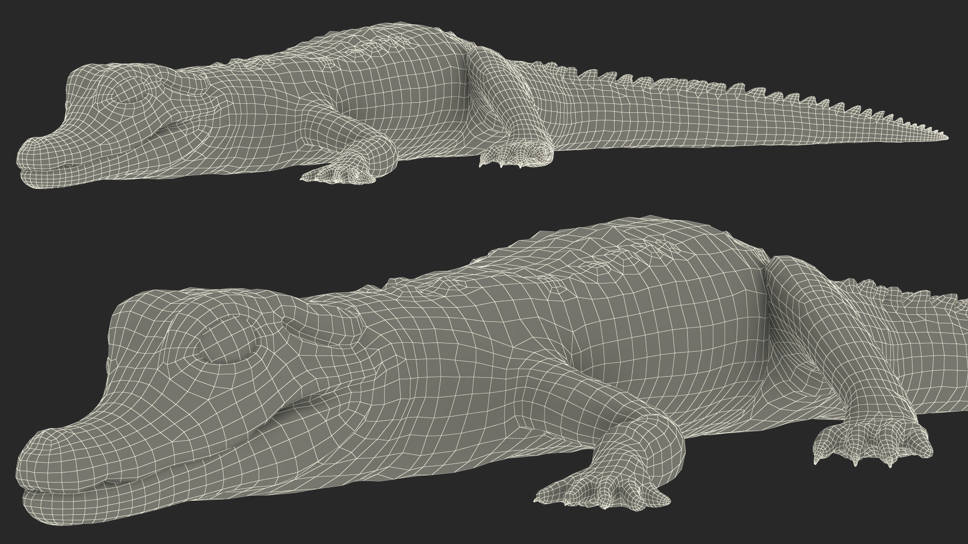 3D Black Caiman Baby Lying model