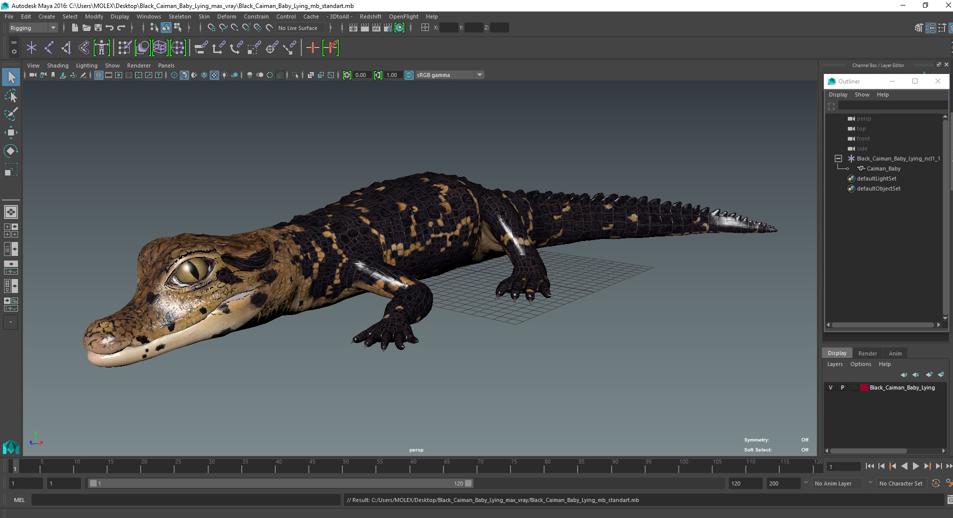 3D Black Caiman Baby Lying model