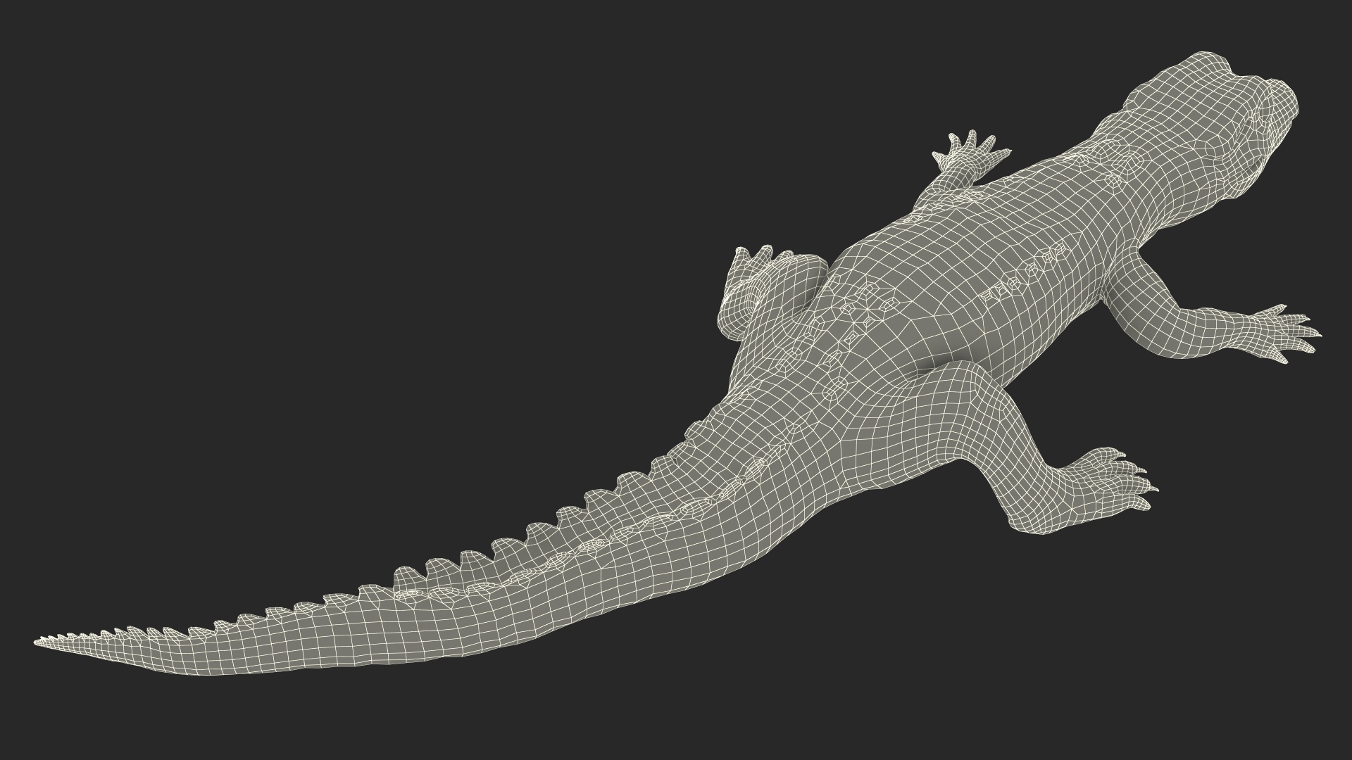 3D Black Caiman Baby Lying model