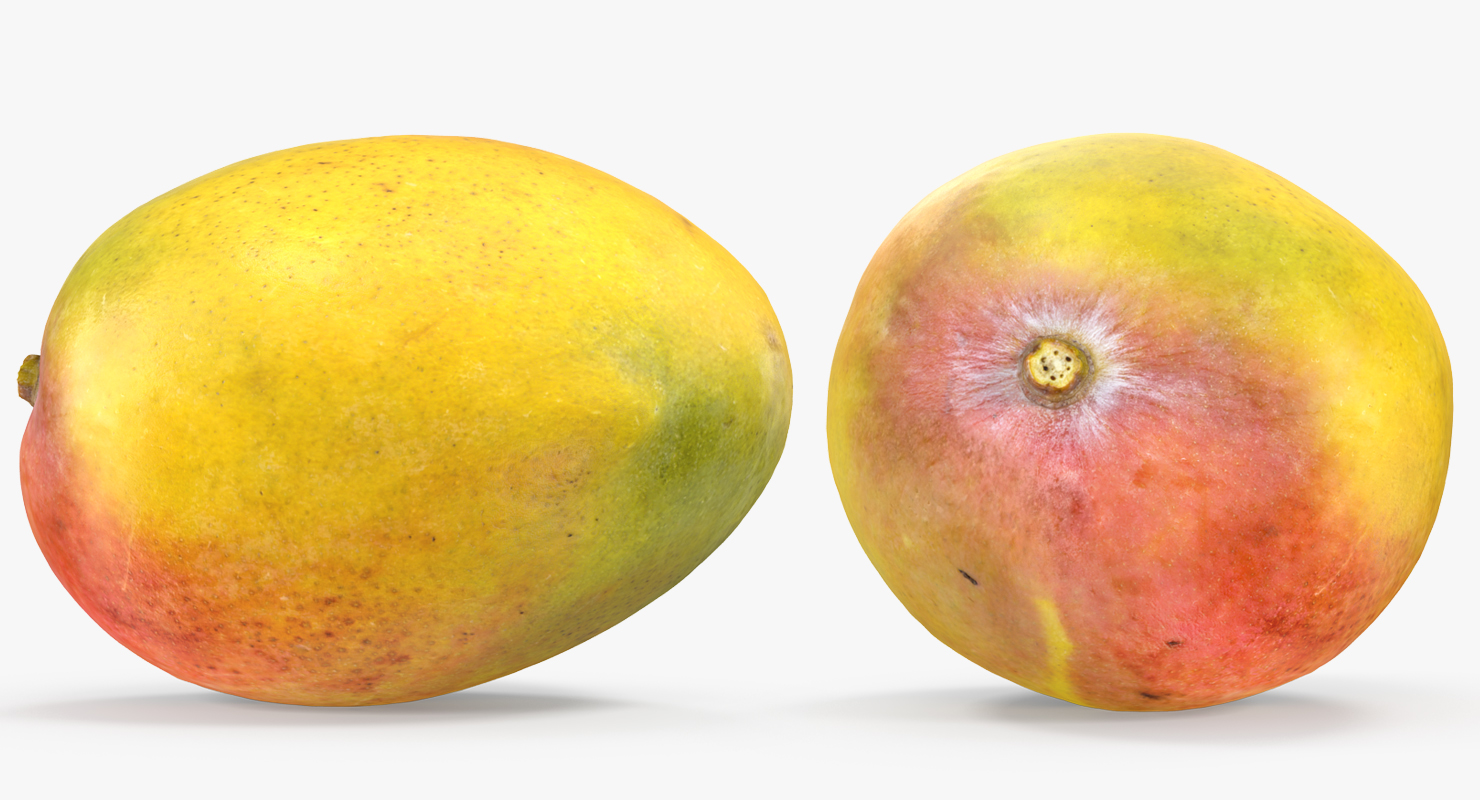 3D Yellow Mango Fruit model