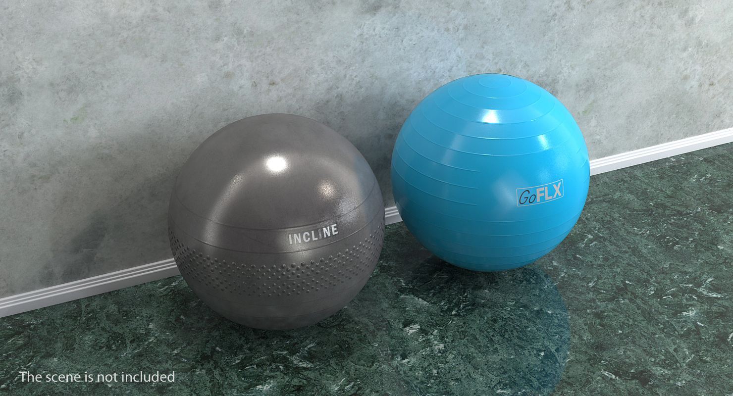 Classic Exercise Ball Chair 3D