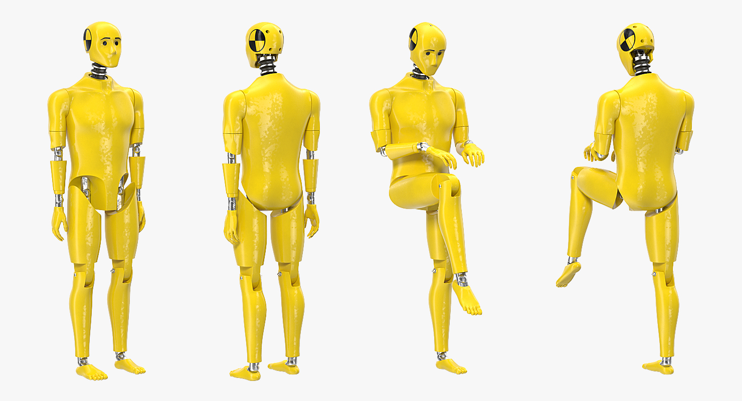 3D Crash Test Dummy Rigged model