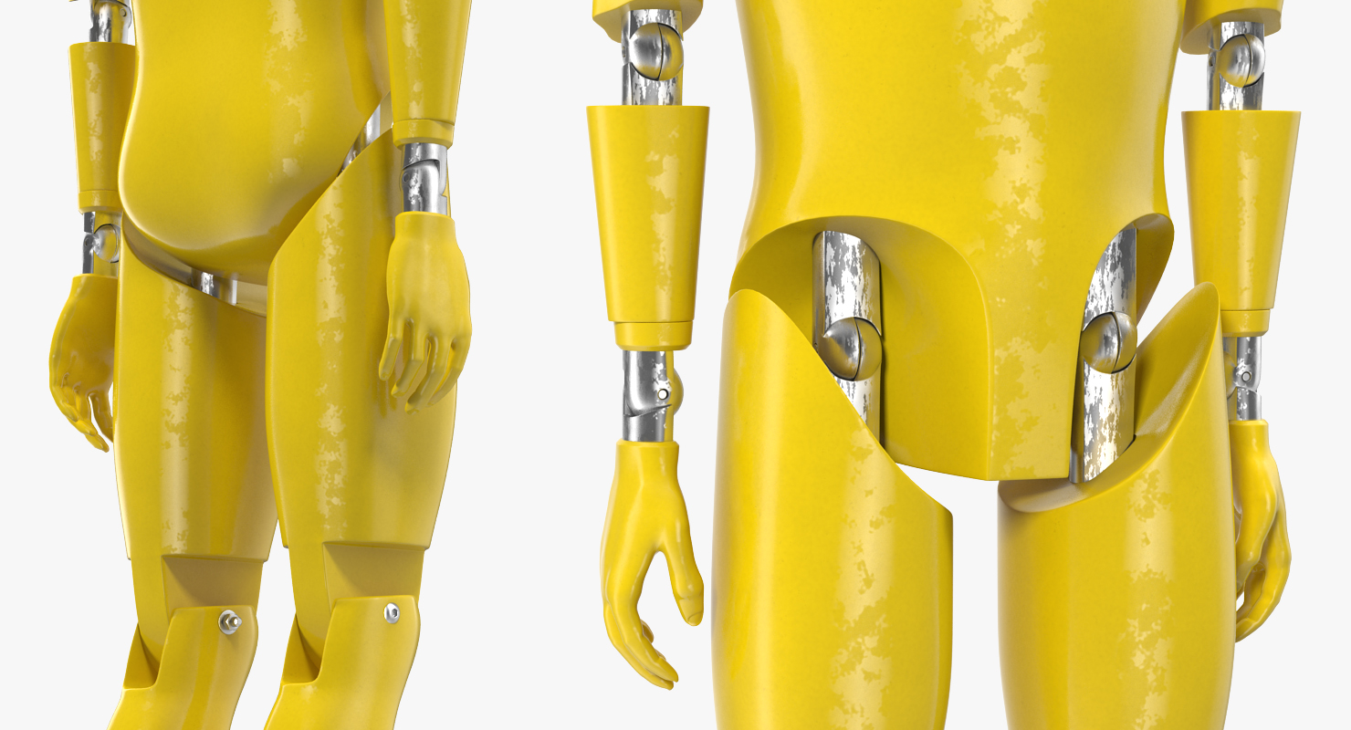 3D Crash Test Dummy Rigged model