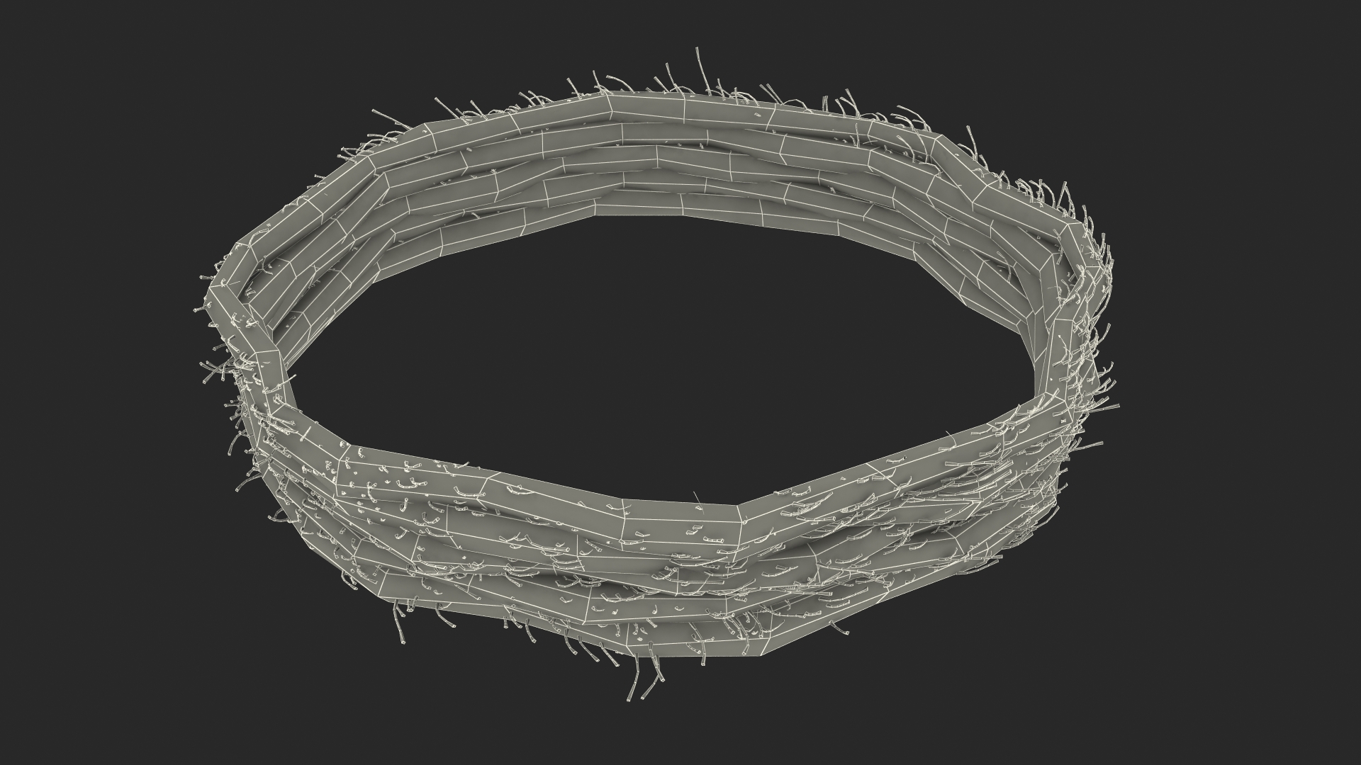 3D Circular Rope model
