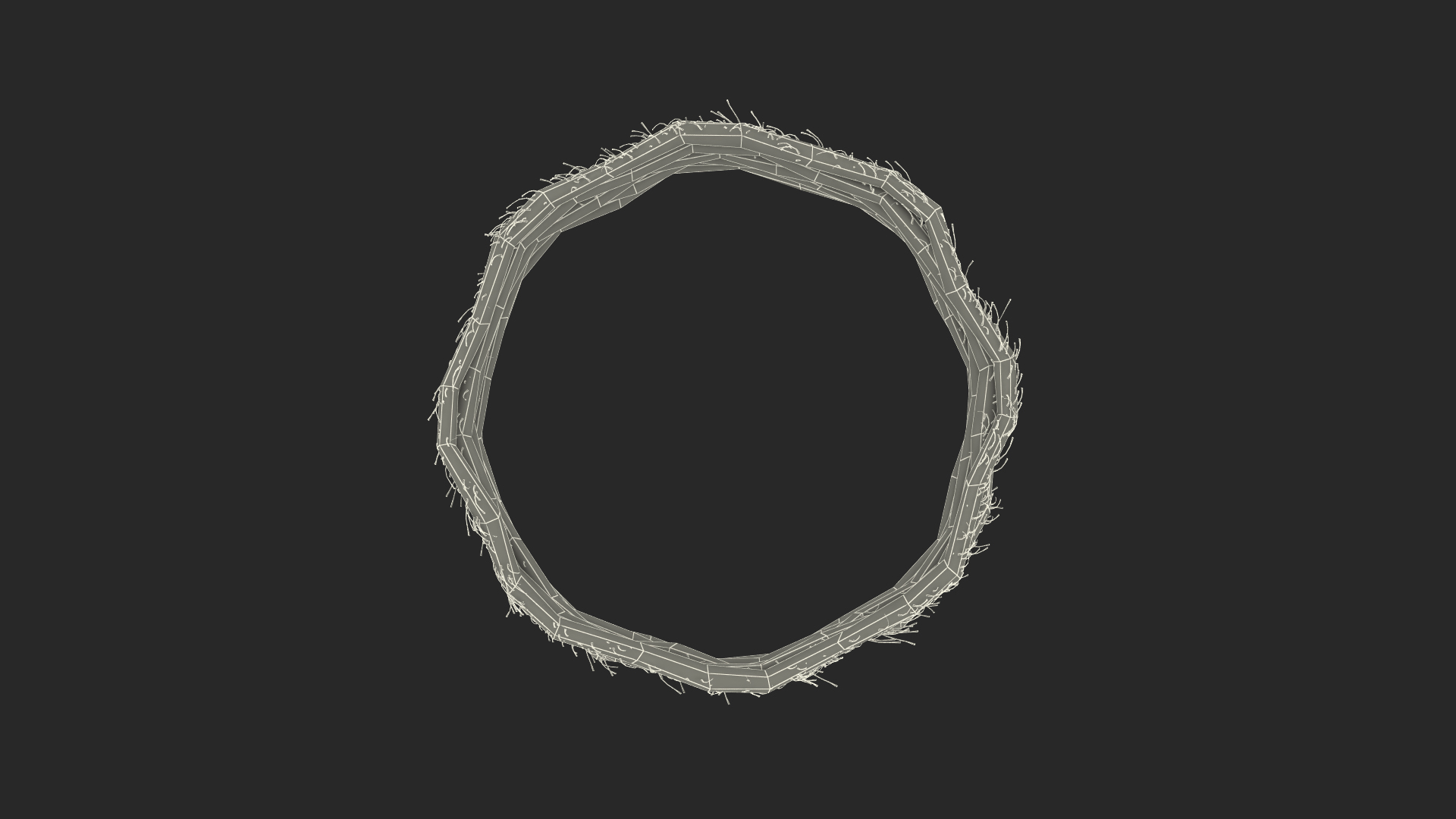 3D Circular Rope model
