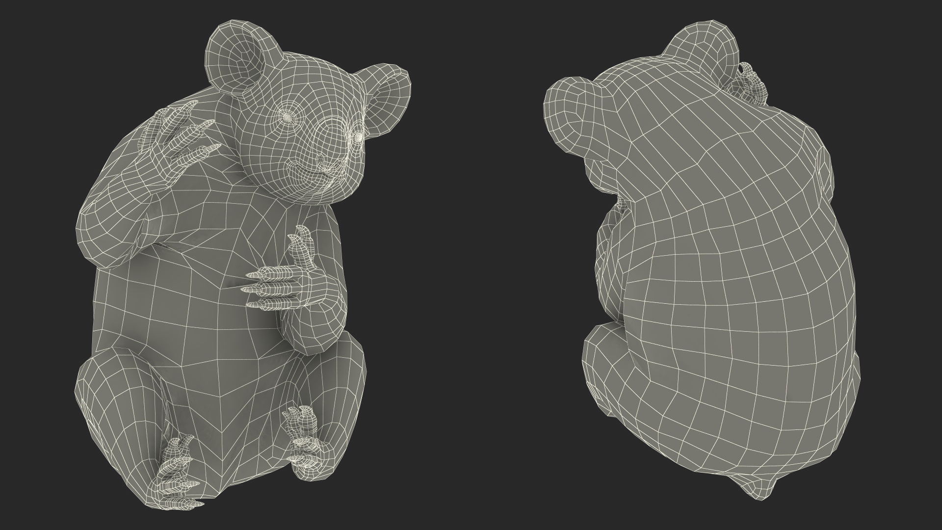 Australian Koala Rigged for Maya 3D