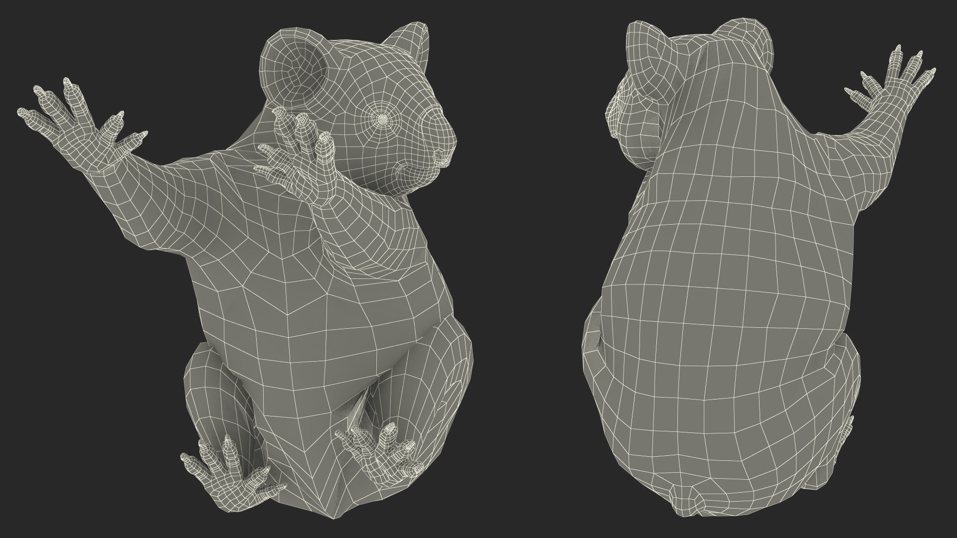 Australian Koala Rigged for Maya 3D