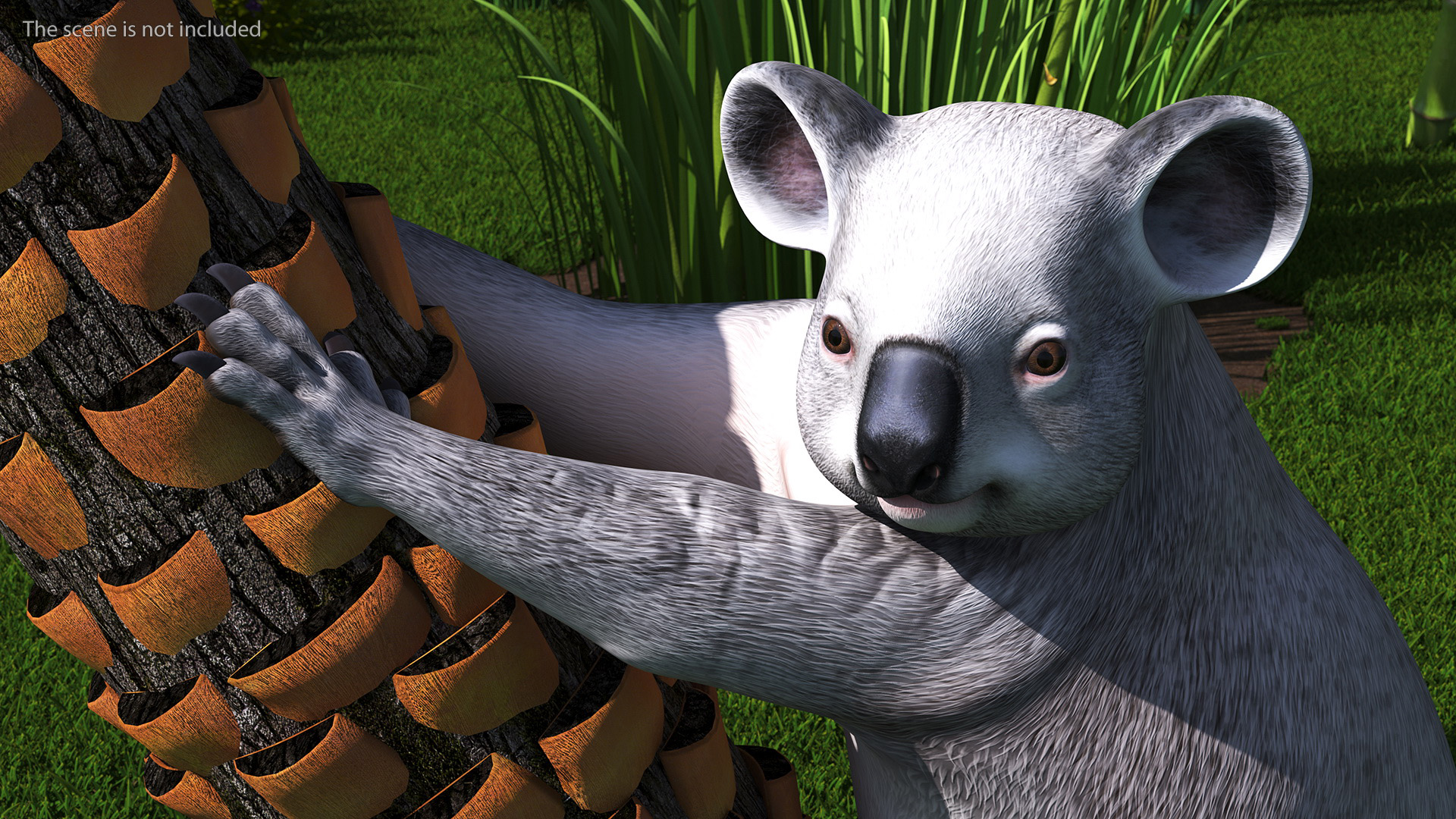 Australian Koala Rigged for Maya 3D