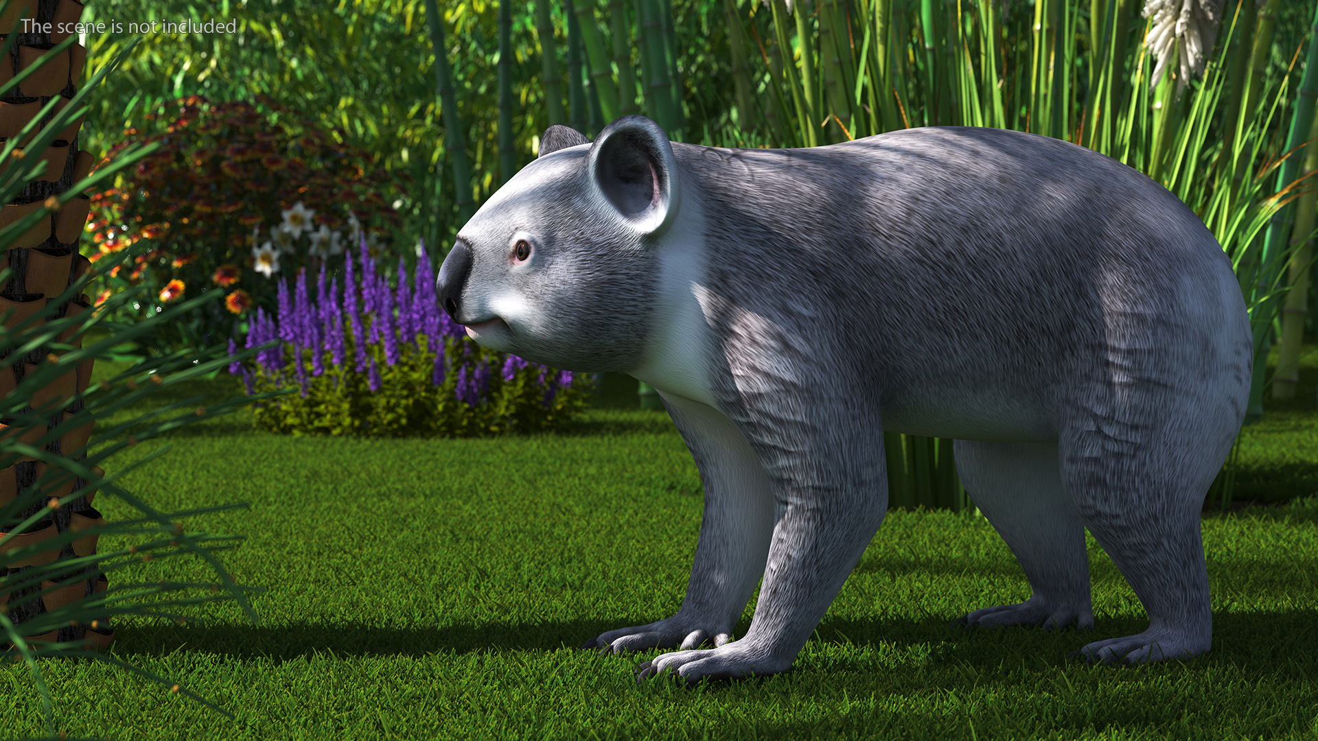 Australian Koala Rigged for Maya 3D