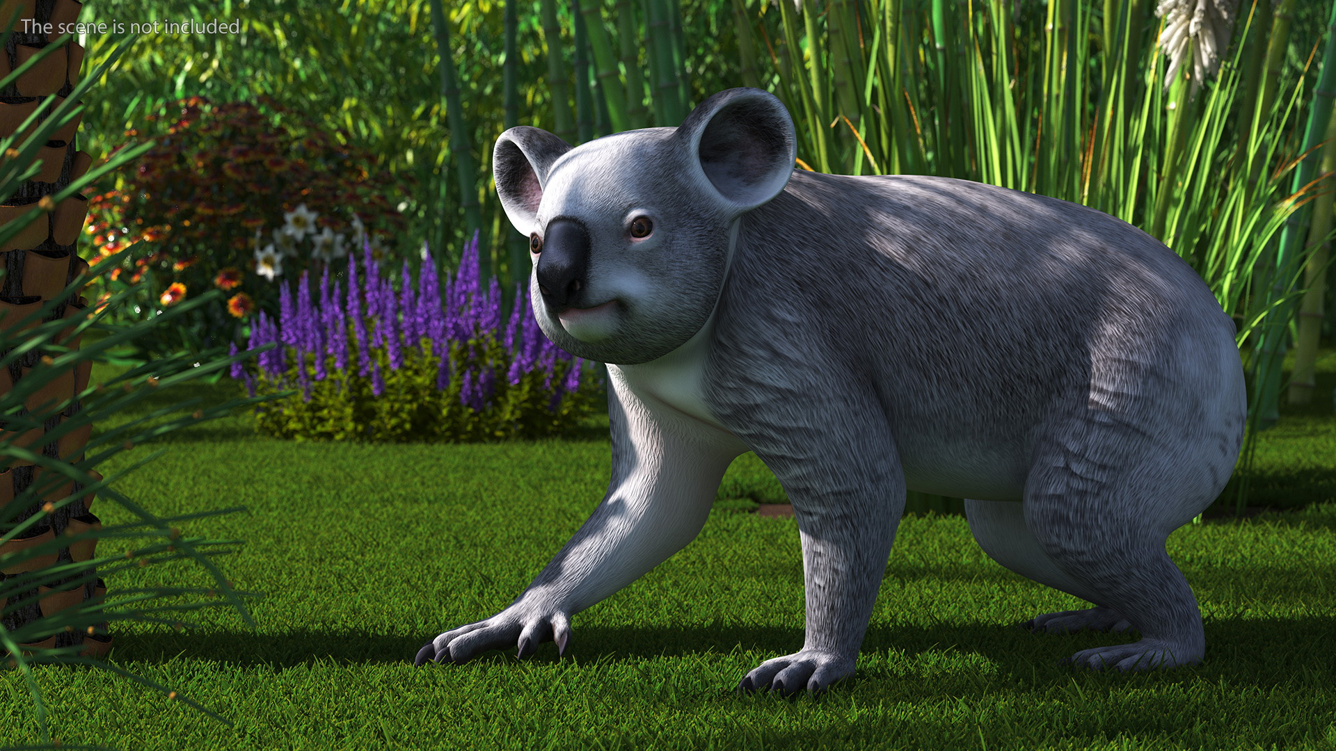 Australian Koala Rigged for Maya 3D