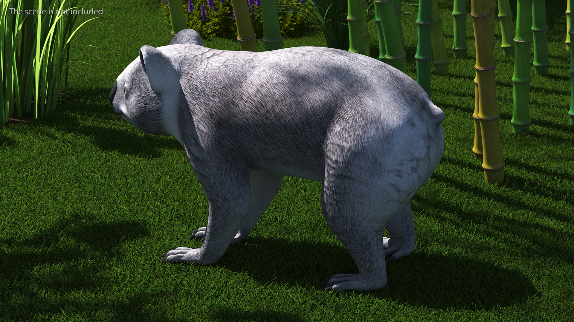 Australian Koala Rigged for Maya 3D