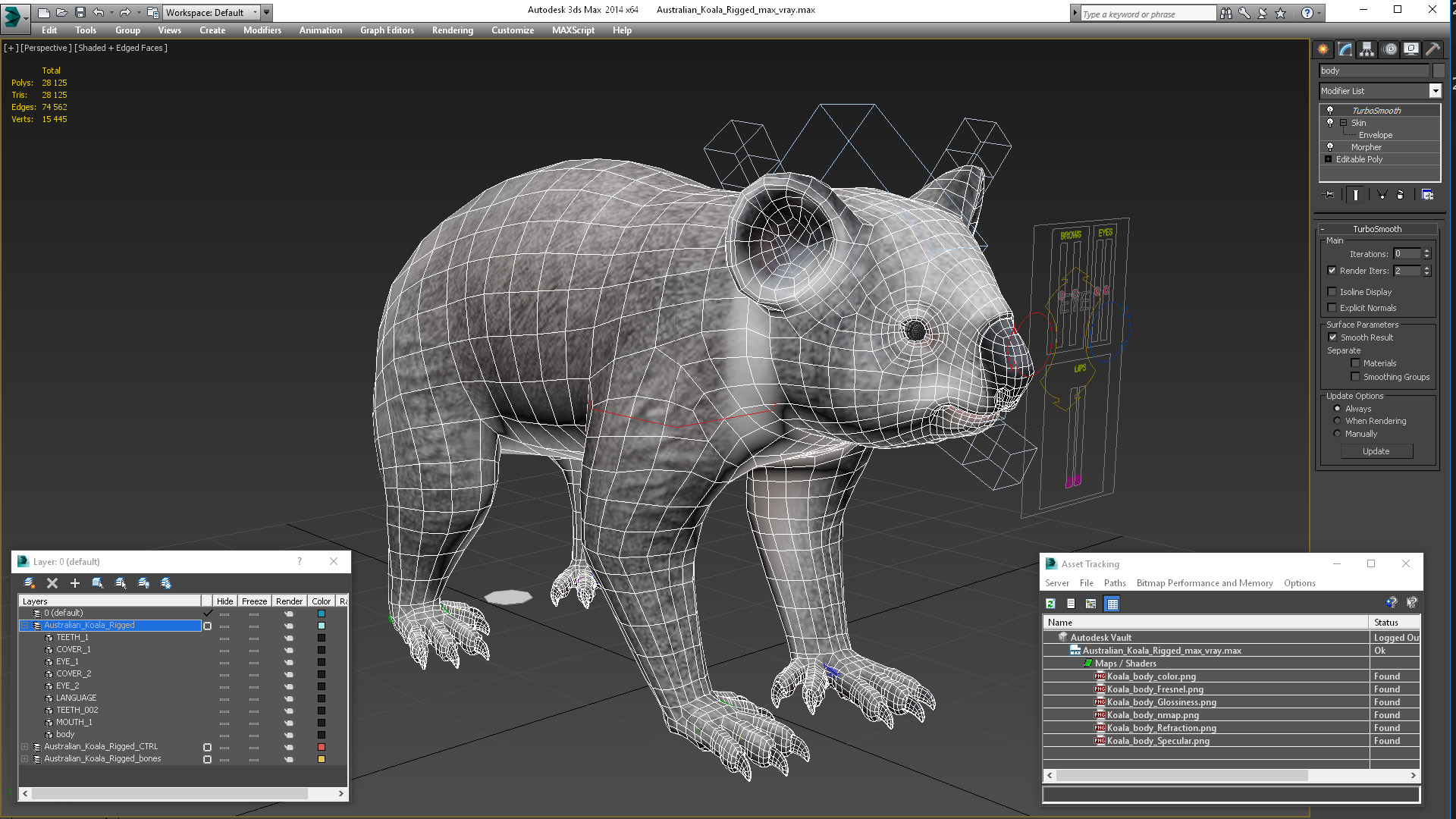 Australian Koala Rigged for Maya 3D