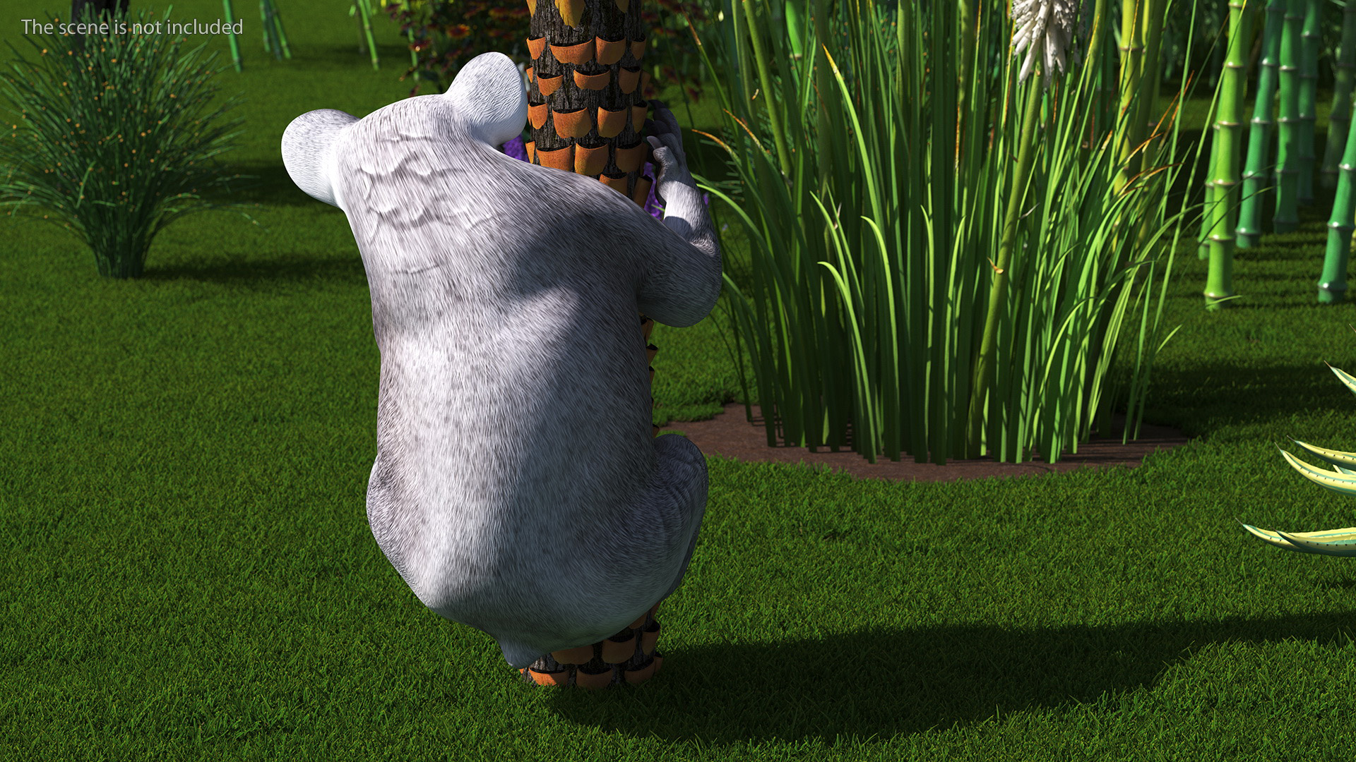 Australian Koala Rigged for Maya 3D