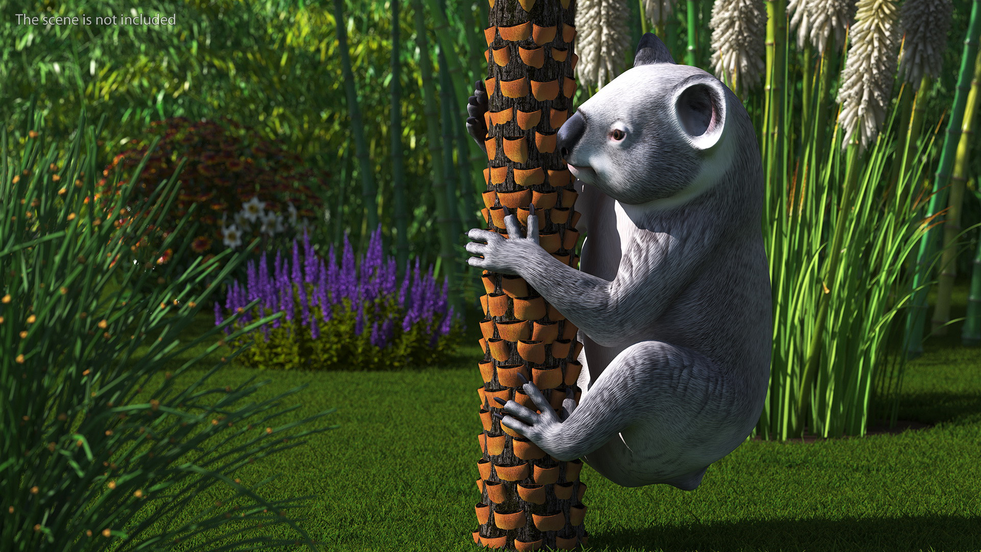 Australian Koala Rigged for Maya 3D