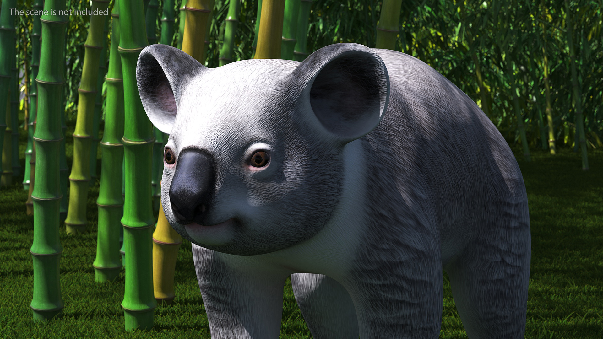 Australian Koala Rigged for Maya 3D