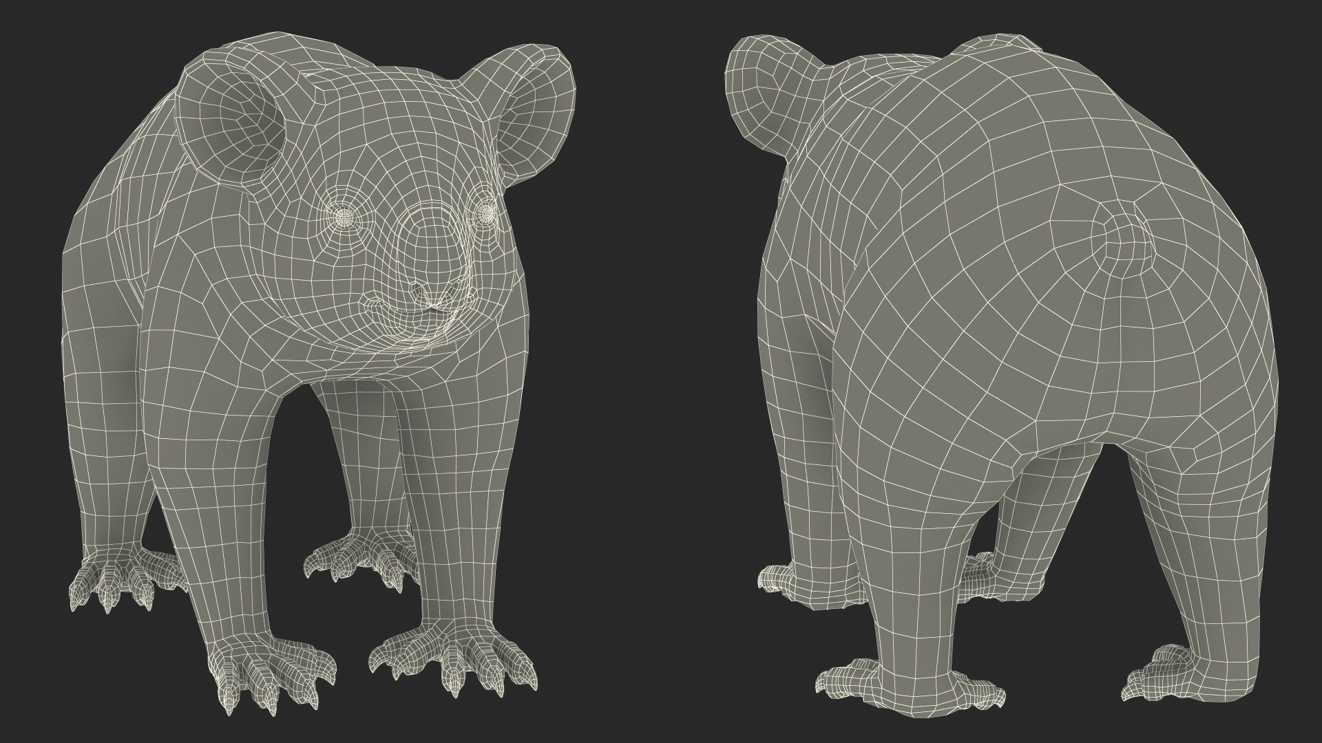 Australian Koala Rigged for Maya 3D