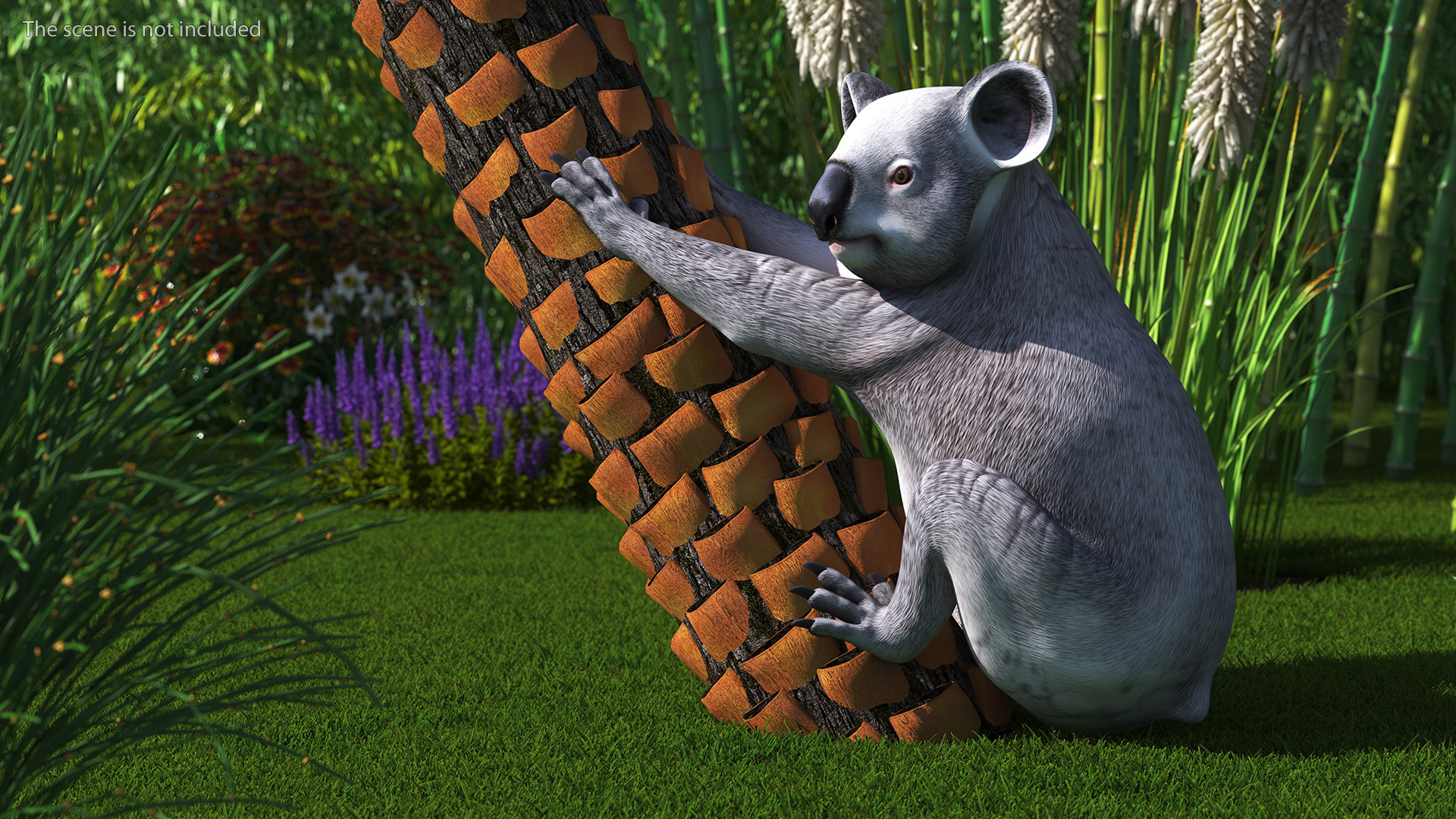 Australian Koala Rigged for Maya 3D