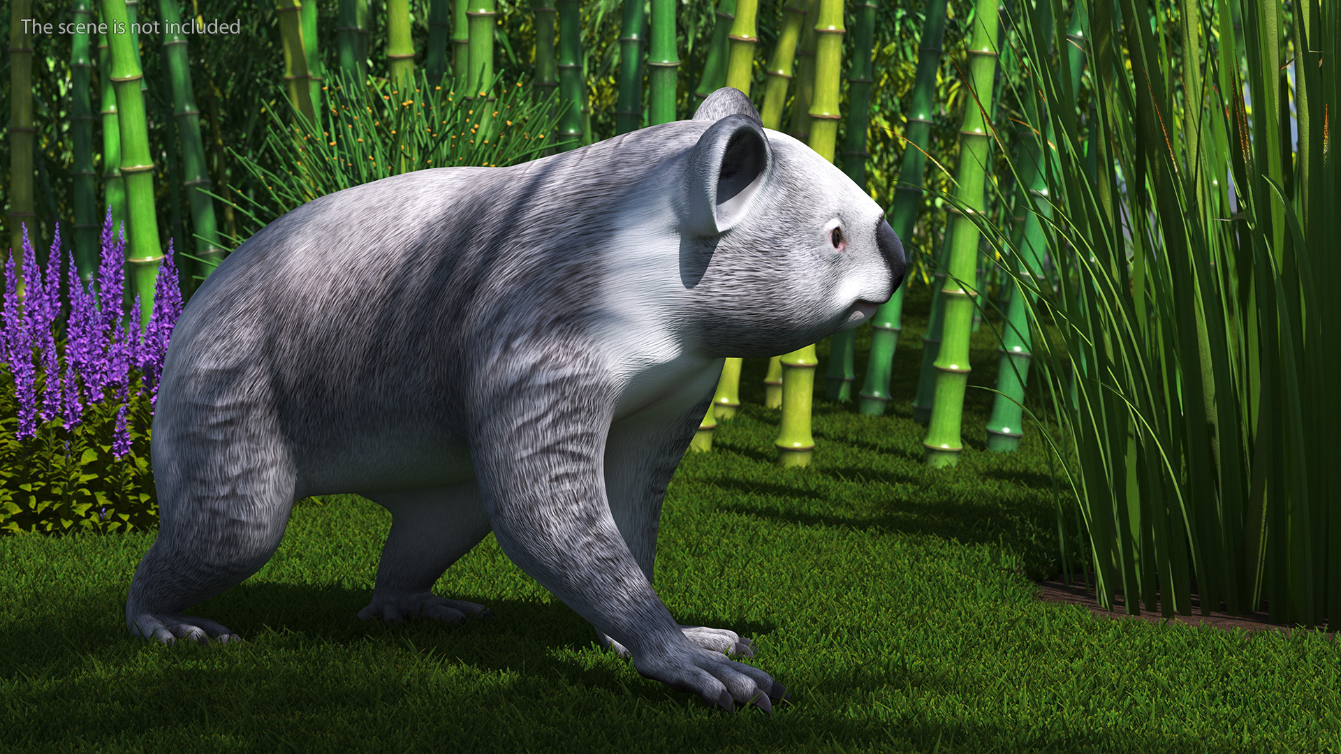 Australian Koala Rigged for Maya 3D
