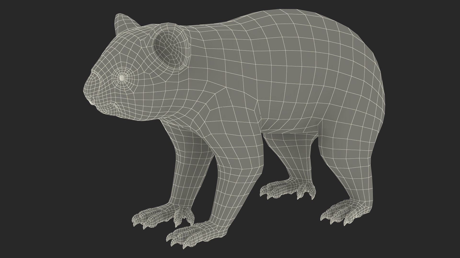 Australian Koala Rigged for Maya 3D